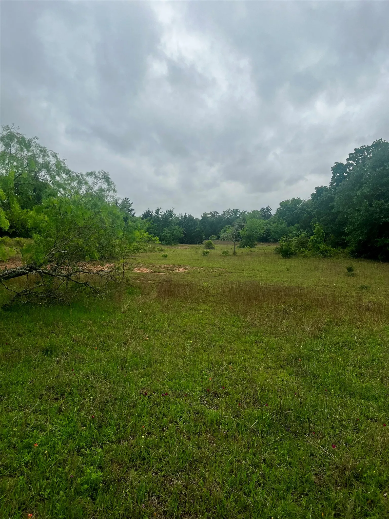 Back of property near well pad