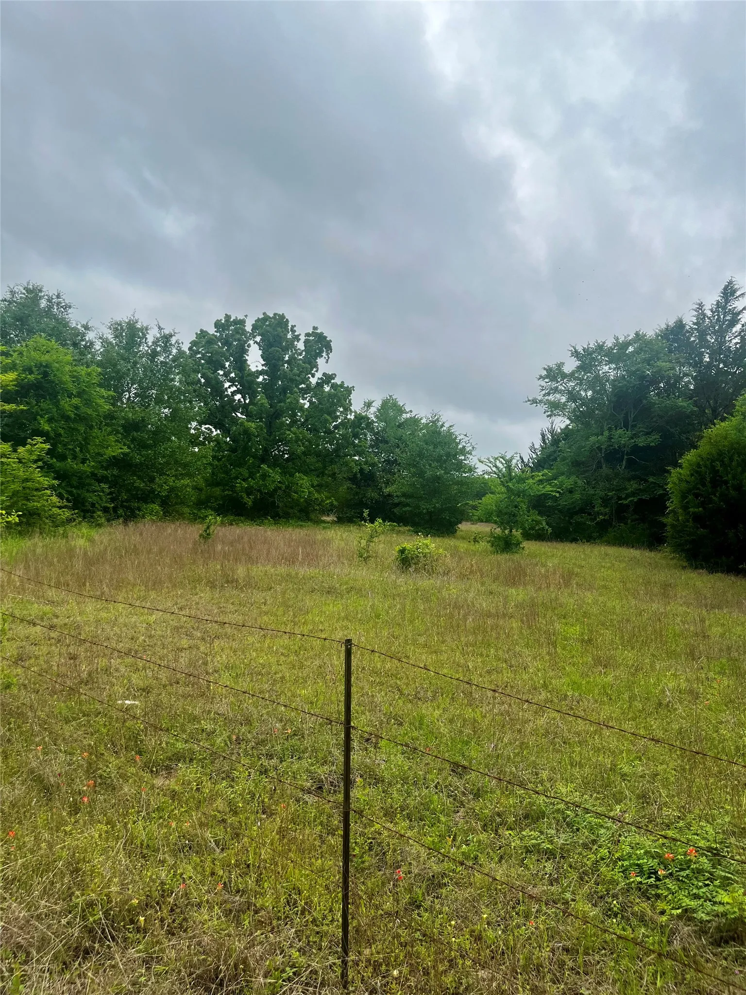Back of property near well pad