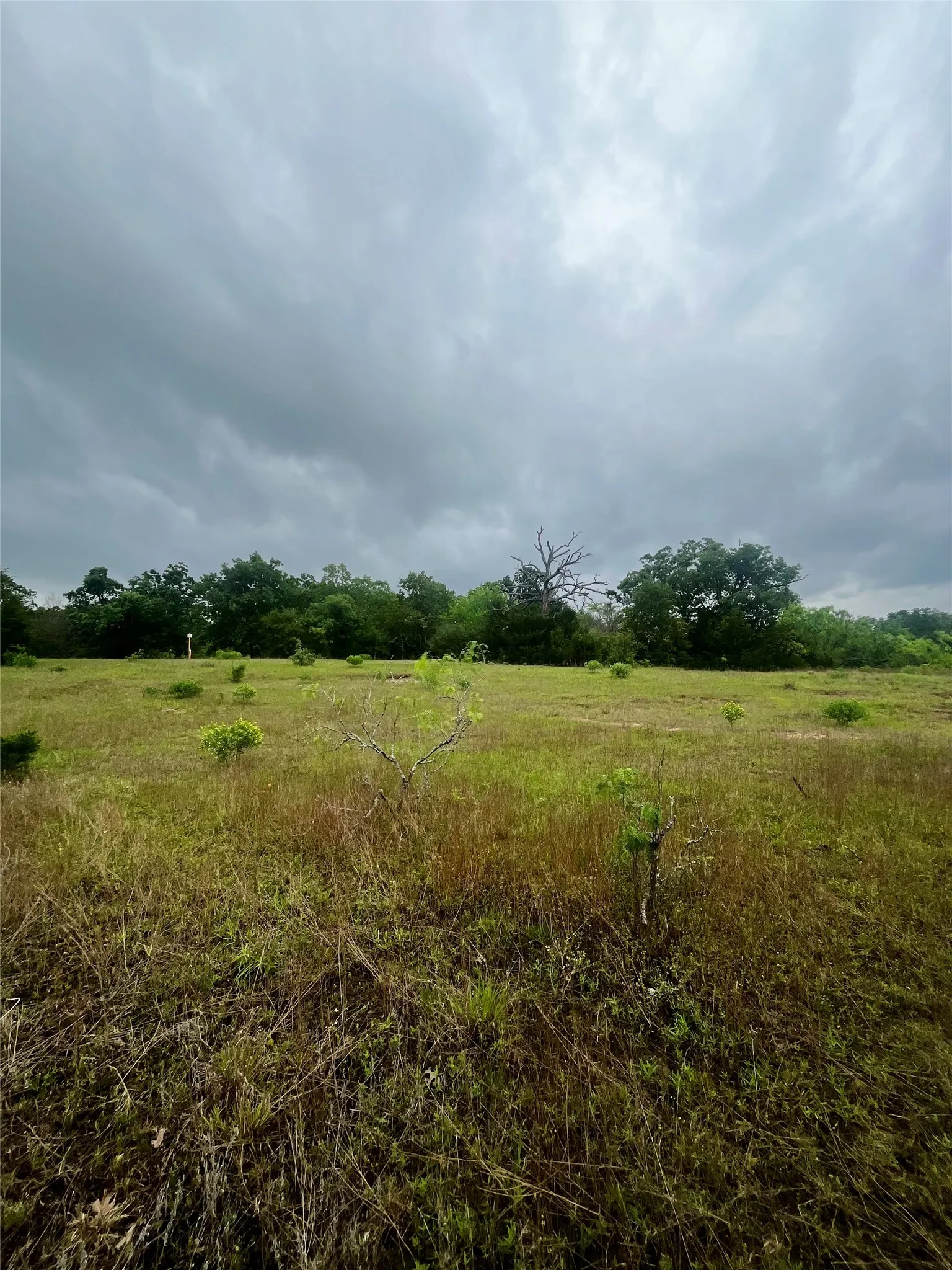 Back of property near well pad