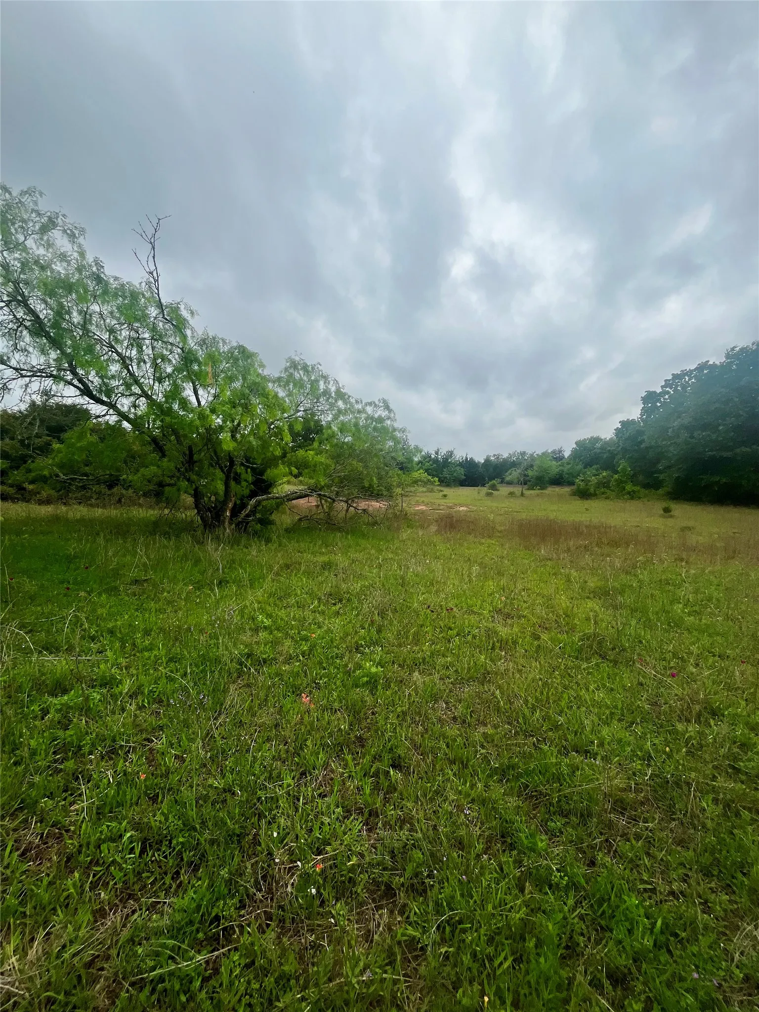 Back of property near well pad