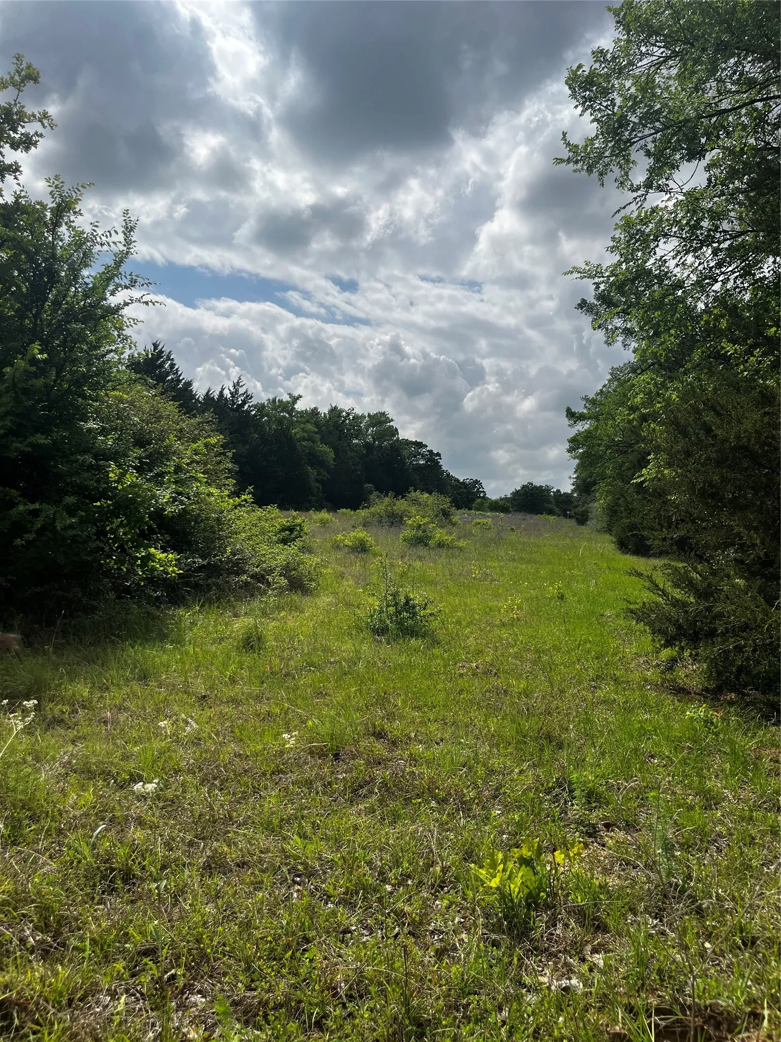 Unimproved Land For Sale in Limestone County , TBD PR 5787, Groesbeck, Texas 76642, 0, 0, Garage spaces, 0 Sqft, built in 0, Price $99,999, mls#21238355, Real Estate Agent in Groesbeck, Homes For Sale in Limestone county, Homes For Sale in Groesbeck, Realtor in Groesbeck Texas, Real Estate Brokerage Independent Realty Texas, Luminita Cordes Realtor