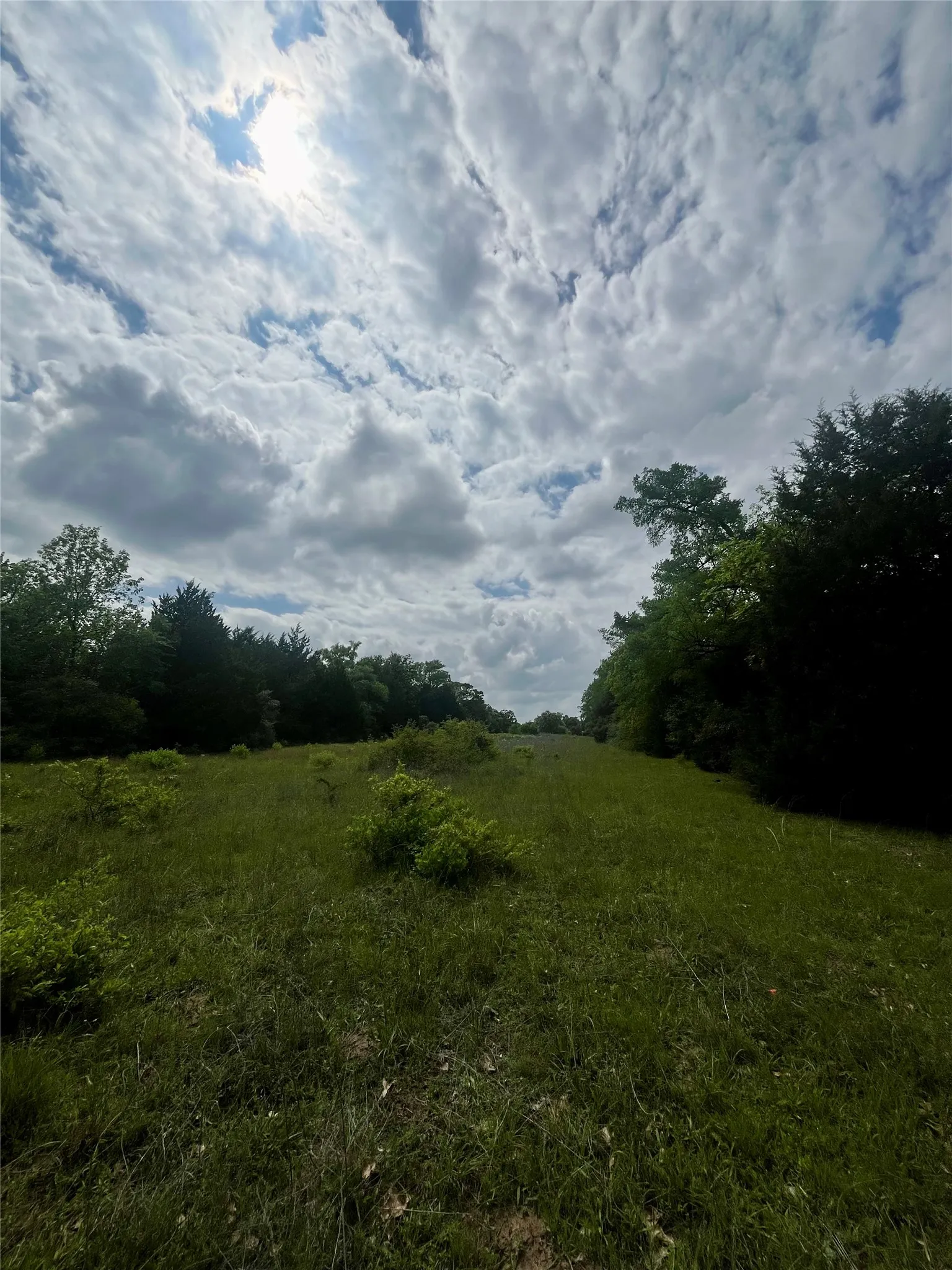 Unimproved Land For Sale in Limestone County , TBD PR 5787, Groesbeck, Texas 76642, 0, 0, Garage spaces, 0 Sqft, built in 0, Price $99,999, mls#21238355, Real Estate Agent in Groesbeck, Homes For Sale in Limestone county, Homes For Sale in Groesbeck, Realtor in Groesbeck Texas, Real Estate Brokerage Independent Realty Texas, Luminita Cordes Realtor