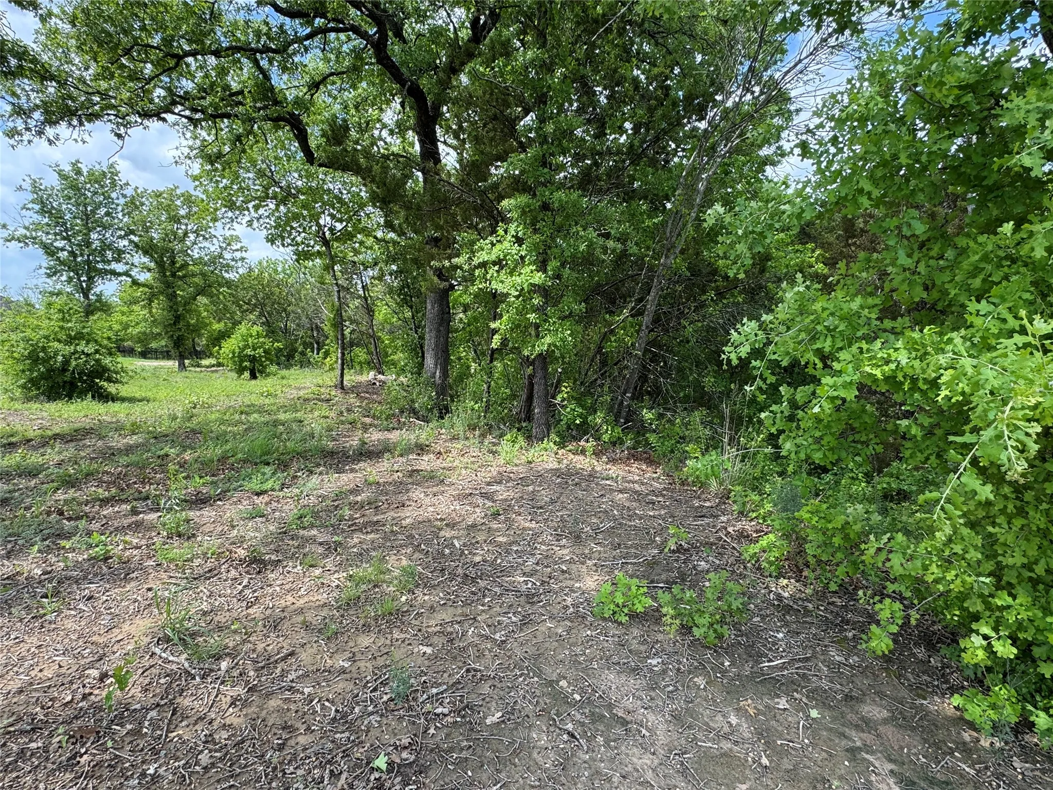 Unimproved Land For Sale in Somervell County , 1017 Cedar Hill Drive, Nemo, Texas 76070, 0, 0, Garage spaces, 0 Sqft, built in 0, Price $54,900, mls#21238704, Real Estate Agent in Nemo, Homes For Sale in Somervell county, Homes For Sale in Nemo, Realtor in Nemo Texas, Real Estate Brokerage Independent Realty Texas, Luminita Cordes Realtor