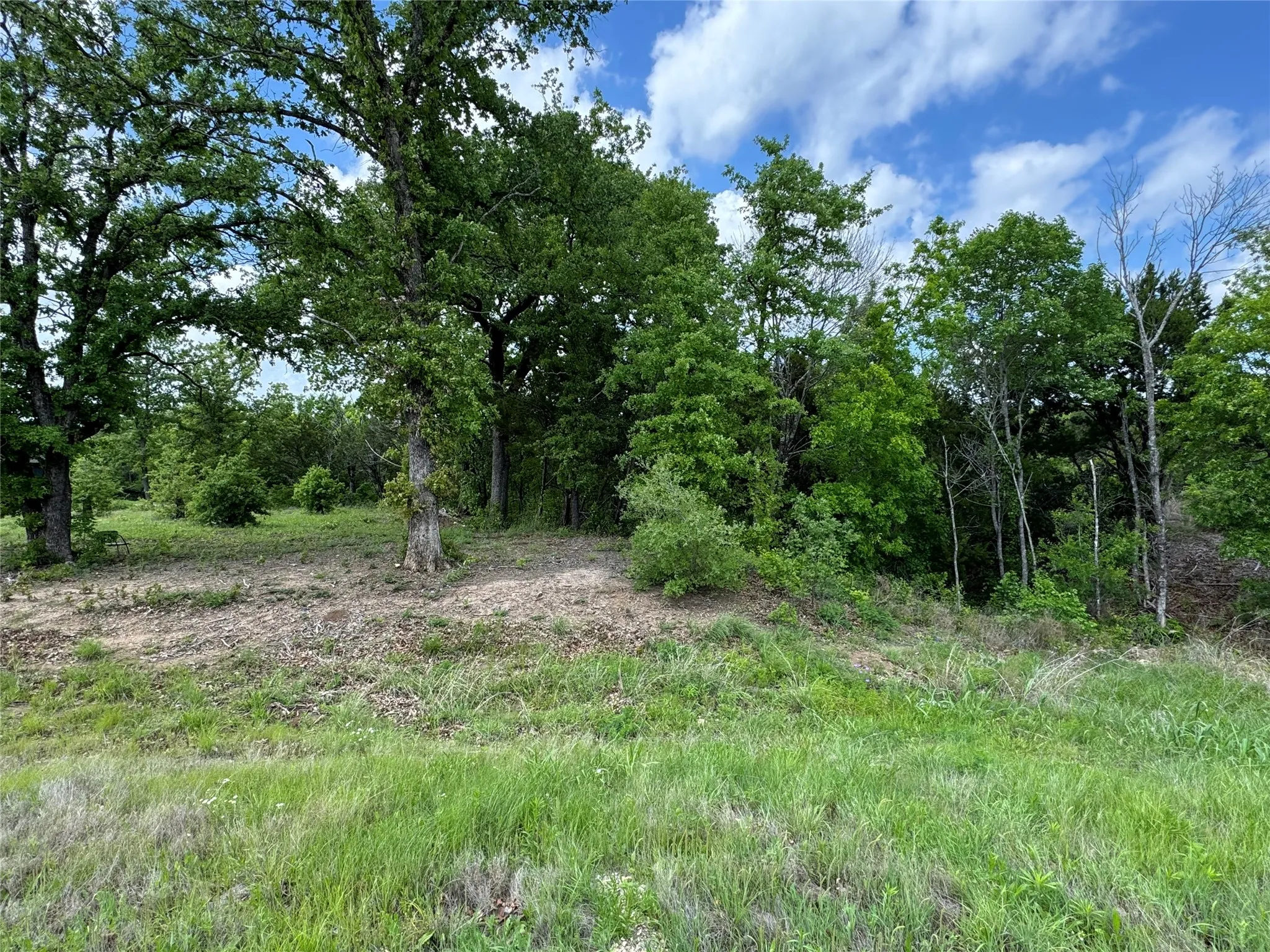 Unimproved Land For Sale in Somervell County , 1017 Cedar Hill Drive, Nemo, Texas 76070, 0, 0, Garage spaces, 0 Sqft, built in 0, Price $54,900, mls#21238704, Real Estate Agent in Nemo, Homes For Sale in Somervell county, Homes For Sale in Nemo, Realtor in Nemo Texas, Real Estate Brokerage Independent Realty Texas, Luminita Cordes Realtor