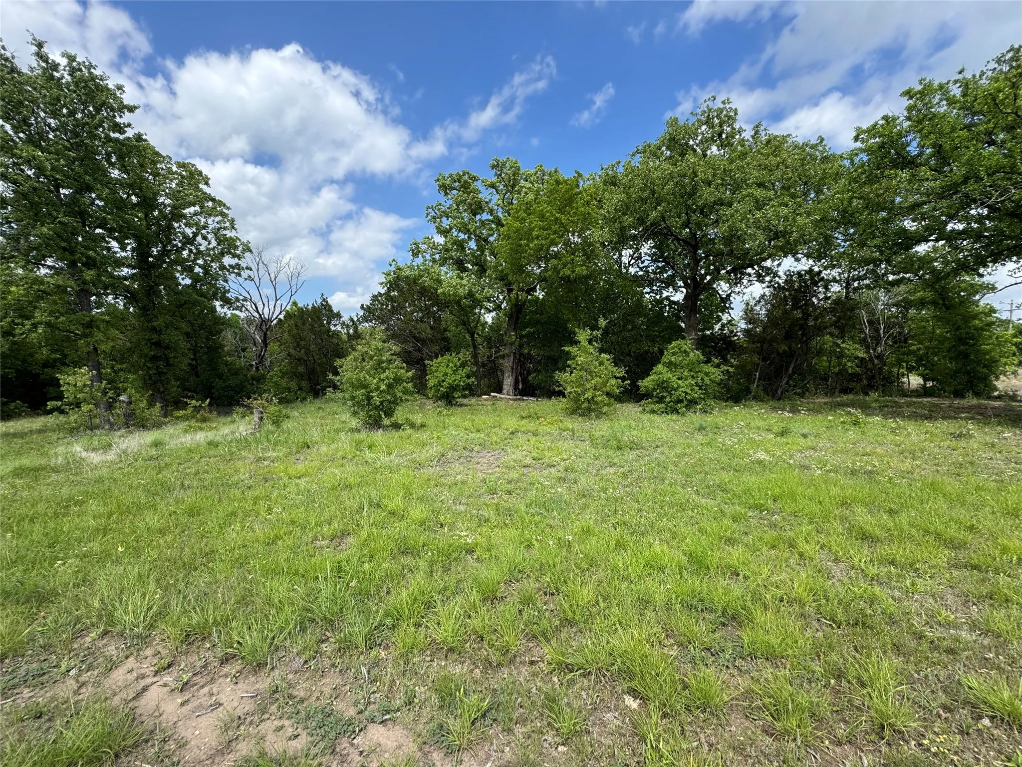 Unimproved Land For Sale in Somervell County , 1017 Cedar Hill Drive, Nemo, Texas 76070, 0, 0, Garage spaces, 0 Sqft, built in 0, Price $54,900, mls#21238704, Real Estate Agent in Nemo, Homes For Sale in Somervell county, Homes For Sale in Nemo, Realtor in Nemo Texas, Real Estate Brokerage Independent Realty Texas, Luminita Cordes Realtor