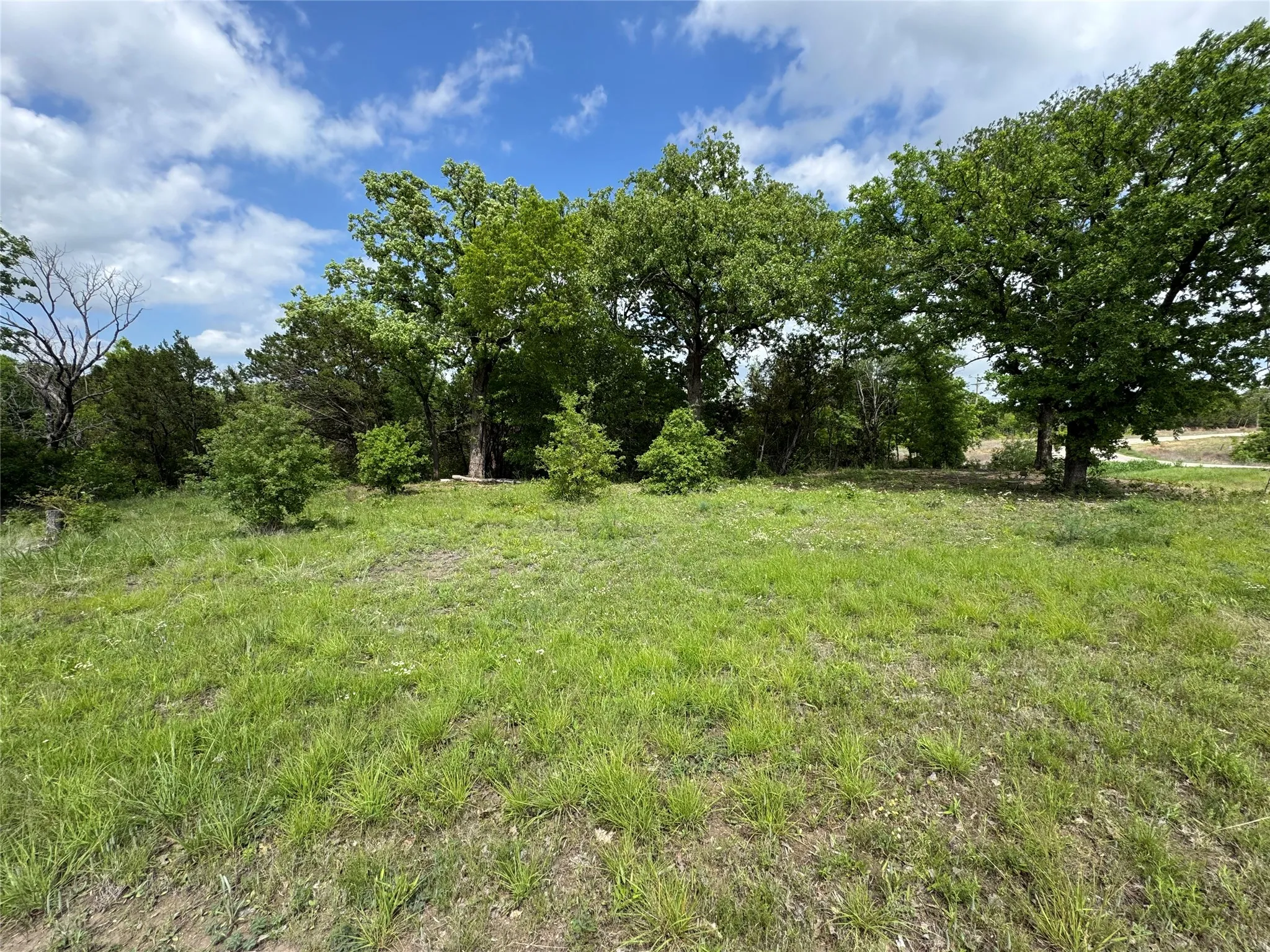 Unimproved Land For Sale in Somervell County , 1017 Cedar Hill Drive, Nemo, Texas 76070, 0, 0, Garage spaces, 0 Sqft, built in 0, Price $54,900, mls#21238704, Real Estate Agent in Nemo, Homes For Sale in Somervell county, Homes For Sale in Nemo, Realtor in Nemo Texas, Real Estate Brokerage Independent Realty Texas, Luminita Cordes Realtor