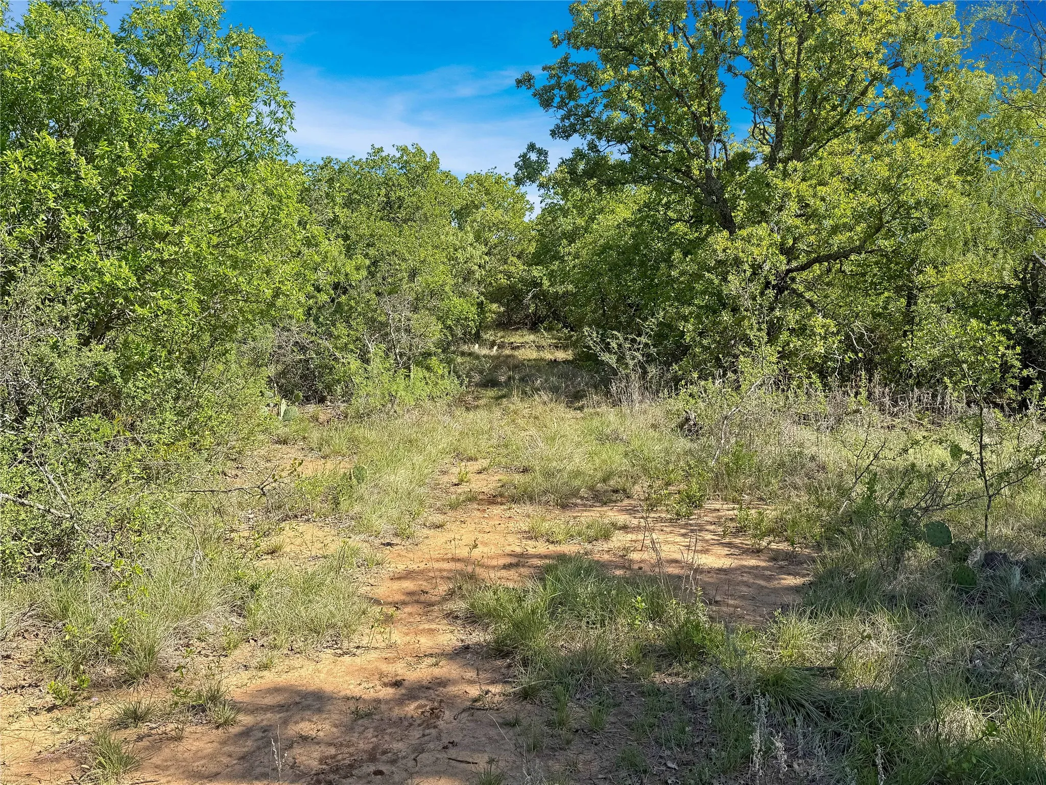 Ranch For Sale in Eastland County , TBD HWY 183, Cisco, Texas 76437, 0, 0, Garage spaces, 0 Sqft, built in 0, mls#21238720, Real Estate Agent in Cisco, Homes For Sale in Eastland county, Homes For Sale in Cisco, Realtor in Cisco Texas, Real Estate Brokerage Independent Realty Texas, Luminita Cordes Realtor