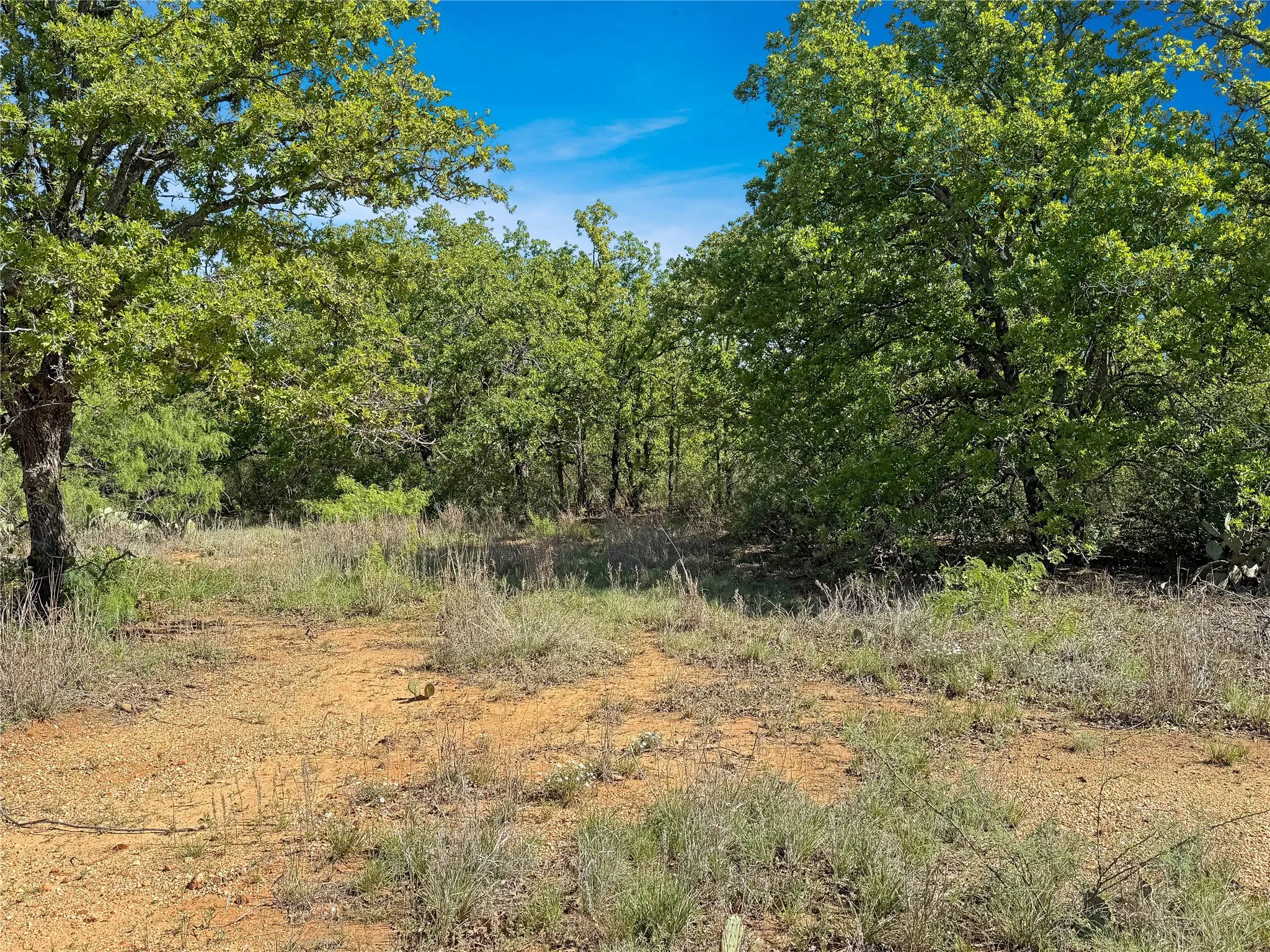 Ranch For Sale in Eastland County , TBD HWY 183, Cisco, Texas 76437, 0, 0, Garage spaces, 0 Sqft, built in 0, mls#21238720, Real Estate Agent in Cisco, Homes For Sale in Eastland county, Homes For Sale in Cisco, Realtor in Cisco Texas, Real Estate Brokerage Independent Realty Texas, Luminita Cordes Realtor