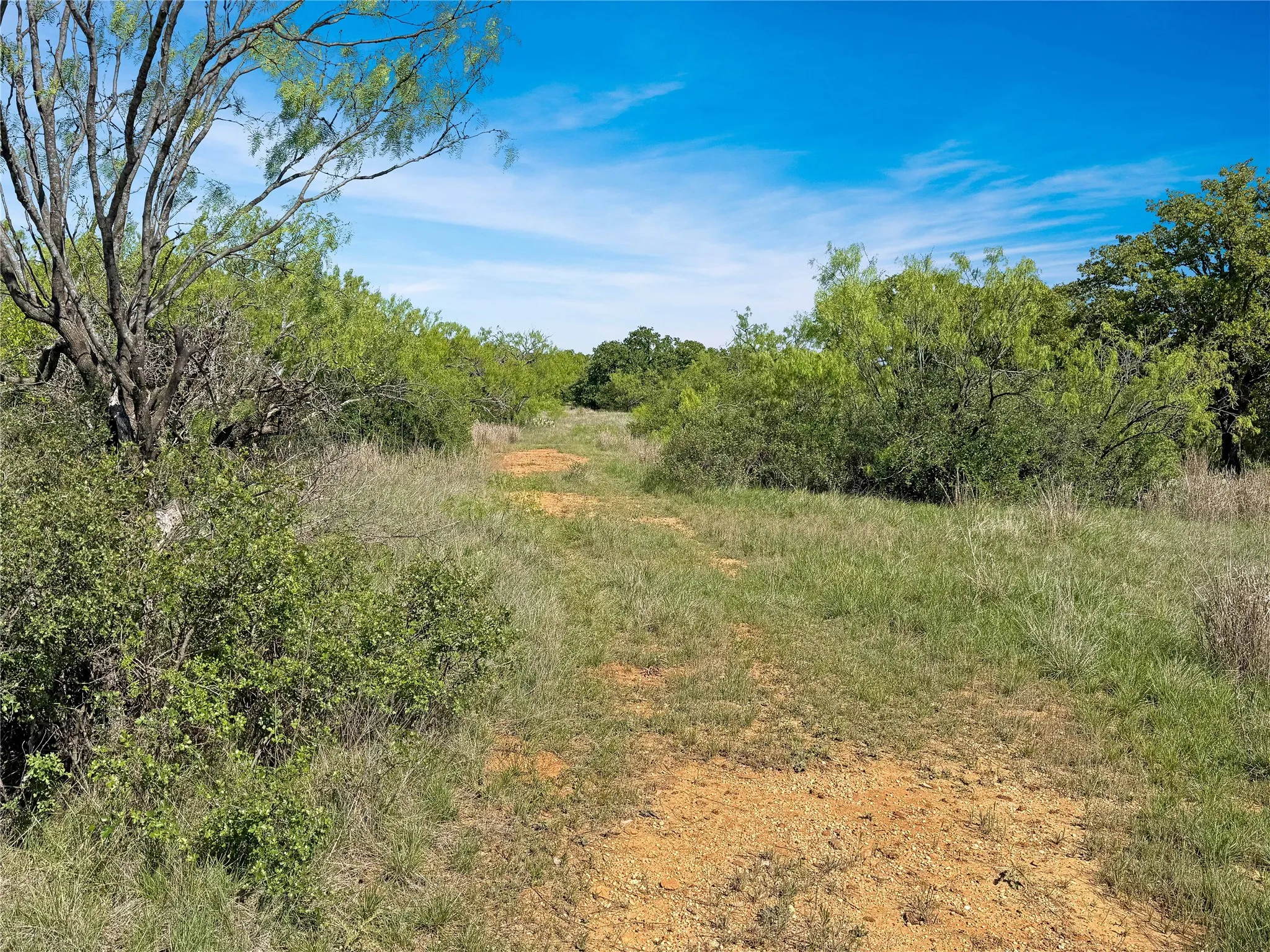 Ranch For Sale in Eastland County , TBD HWY 183, Cisco, Texas 76437, 0, 0, Garage spaces, 0 Sqft, built in 0, mls#21238720, Real Estate Agent in Cisco, Homes For Sale in Eastland county, Homes For Sale in Cisco, Realtor in Cisco Texas, Real Estate Brokerage Independent Realty Texas, Luminita Cordes Realtor