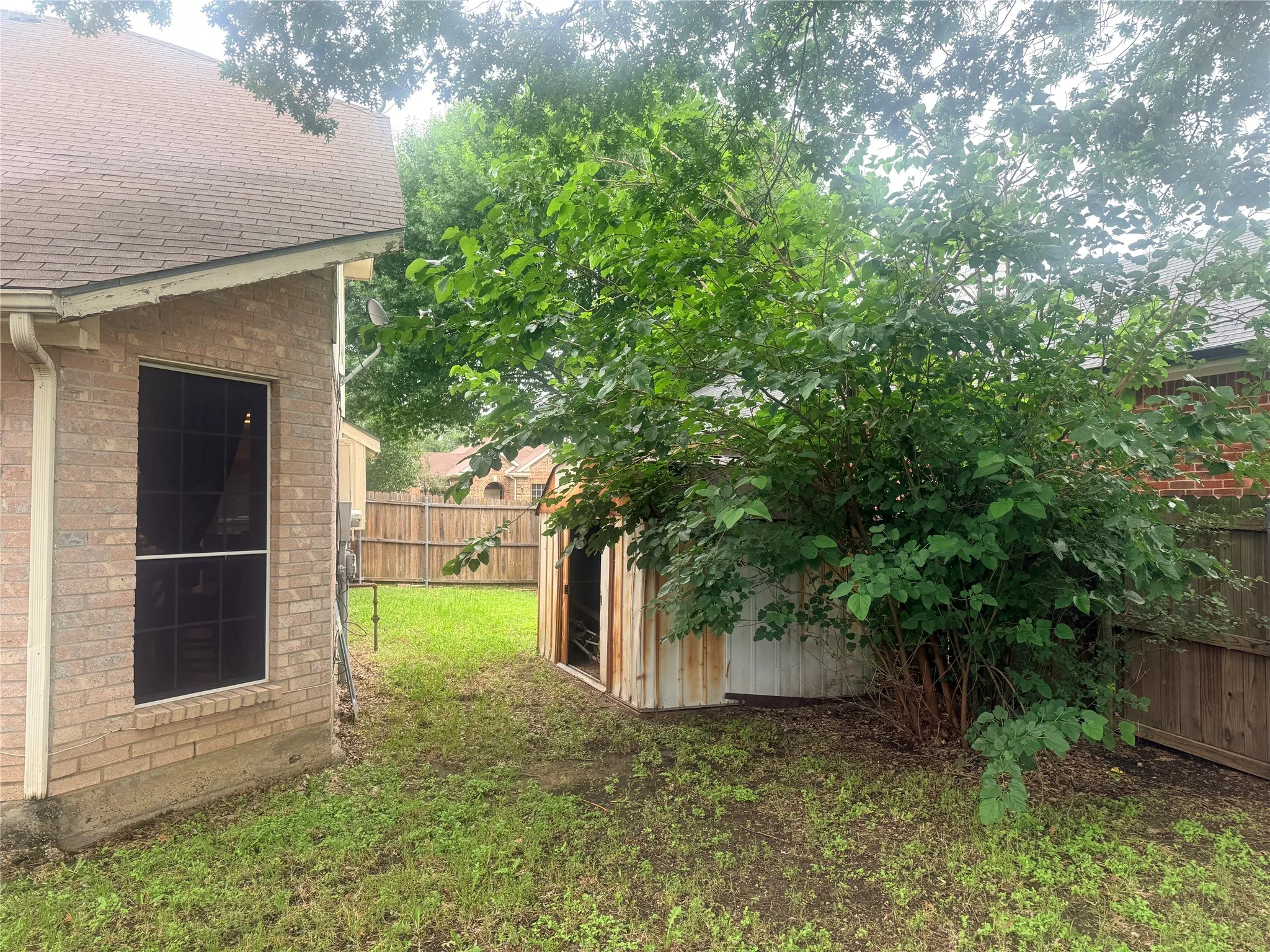 Another View of the Backyard