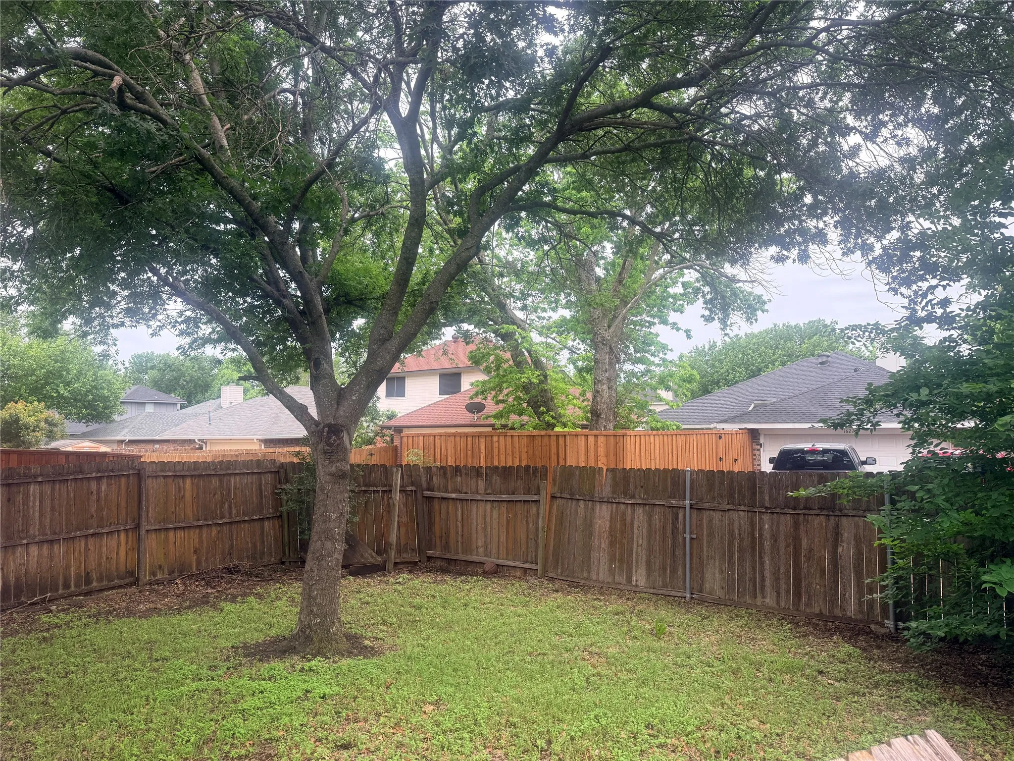 Backyard