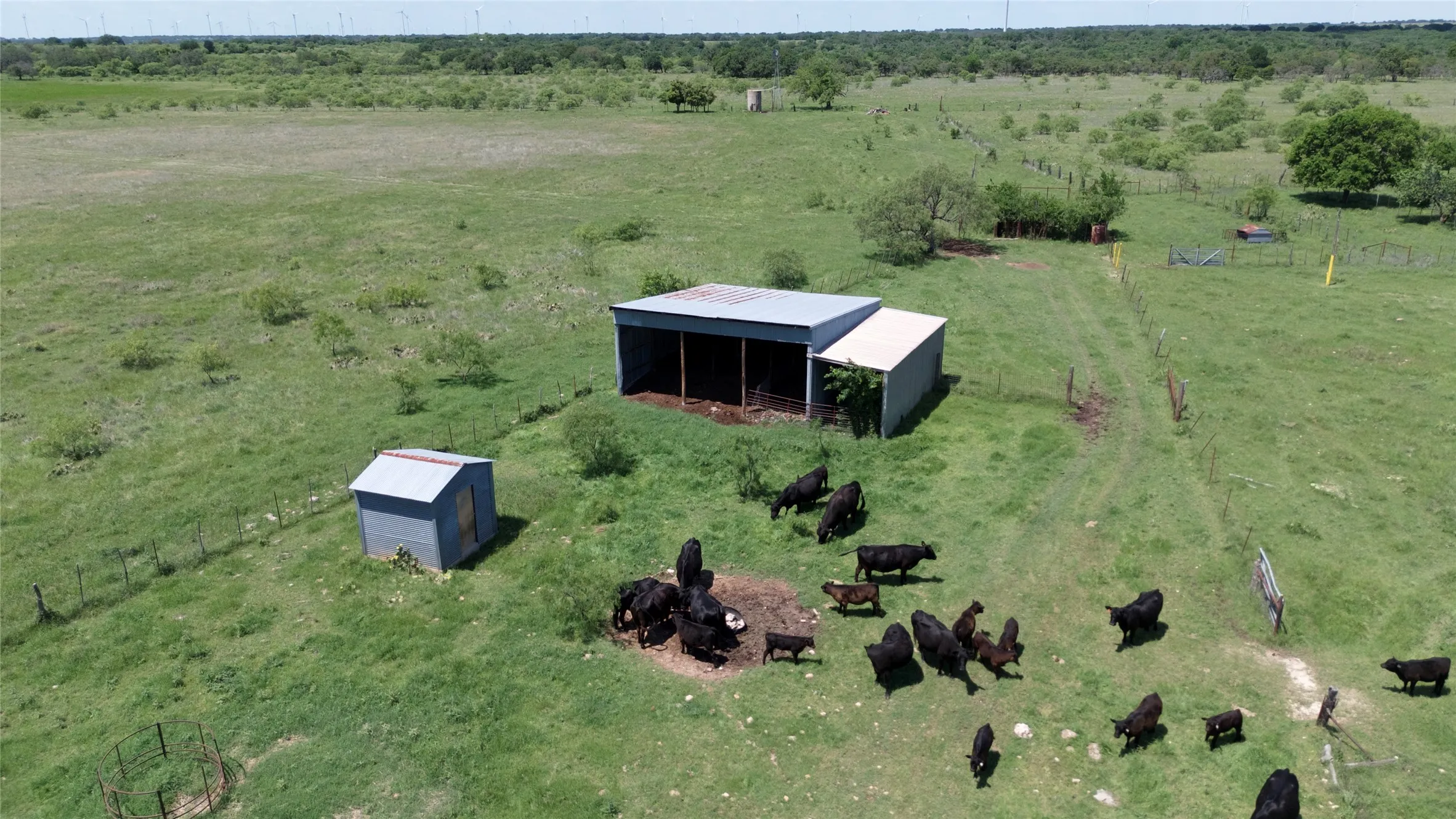 Farm For Sale in Mills County , 520 SH 16 N, Goldthwaite, Texas 76844, 3 Bedroom, 2 Bathroom, Garage spaces, 1,600 Sqft, built in 1997, mls#21238873, Real Estate Agent in Goldthwaite, Homes For Sale in Mills county, Homes For Sale in Goldthwaite, Realtor in Goldthwaite Texas, Real Estate Brokerage Independent Realty Texas, Luminita Cordes Realtor
