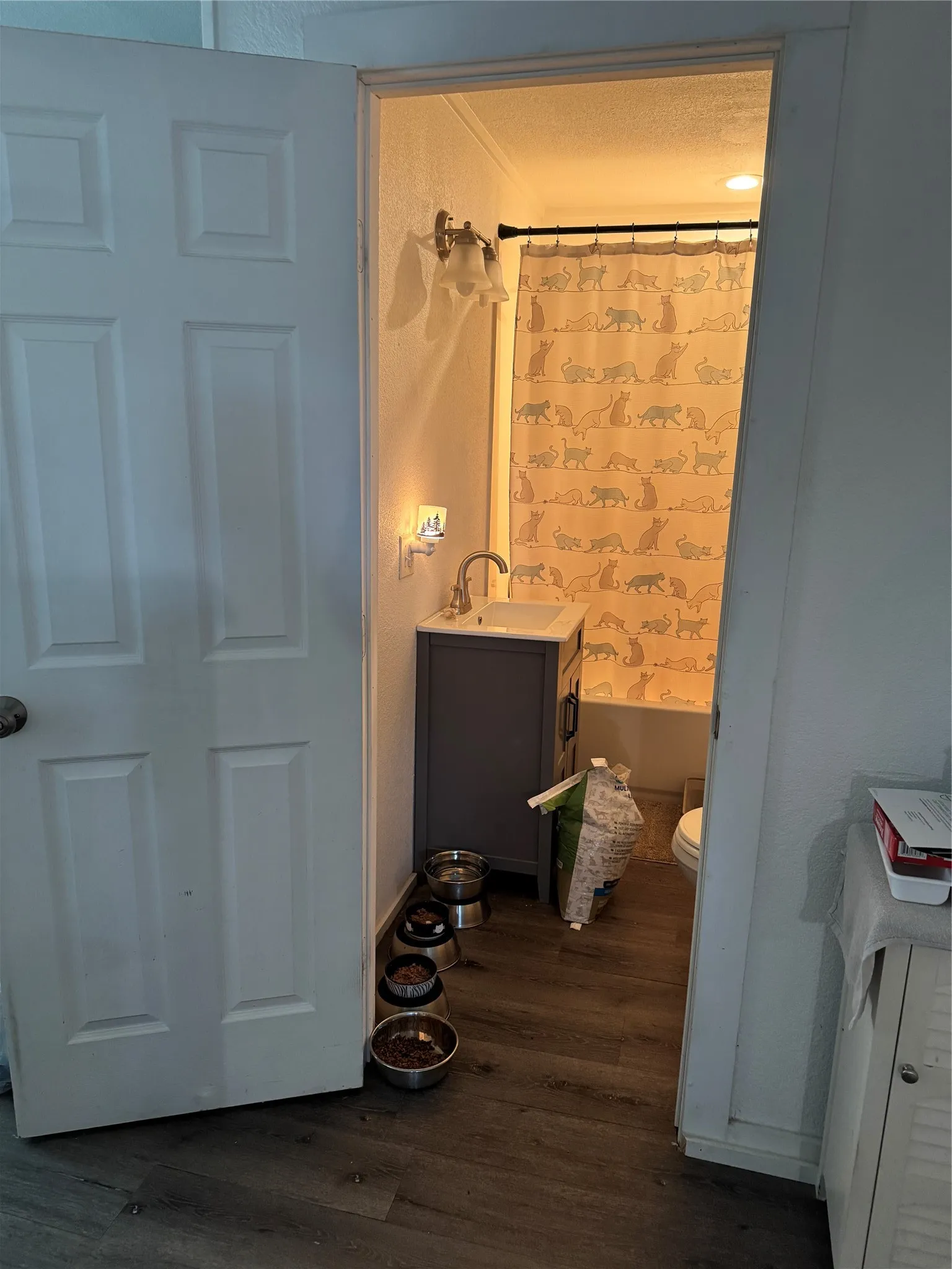 Full bath featuring vanity and dark wood finished floors