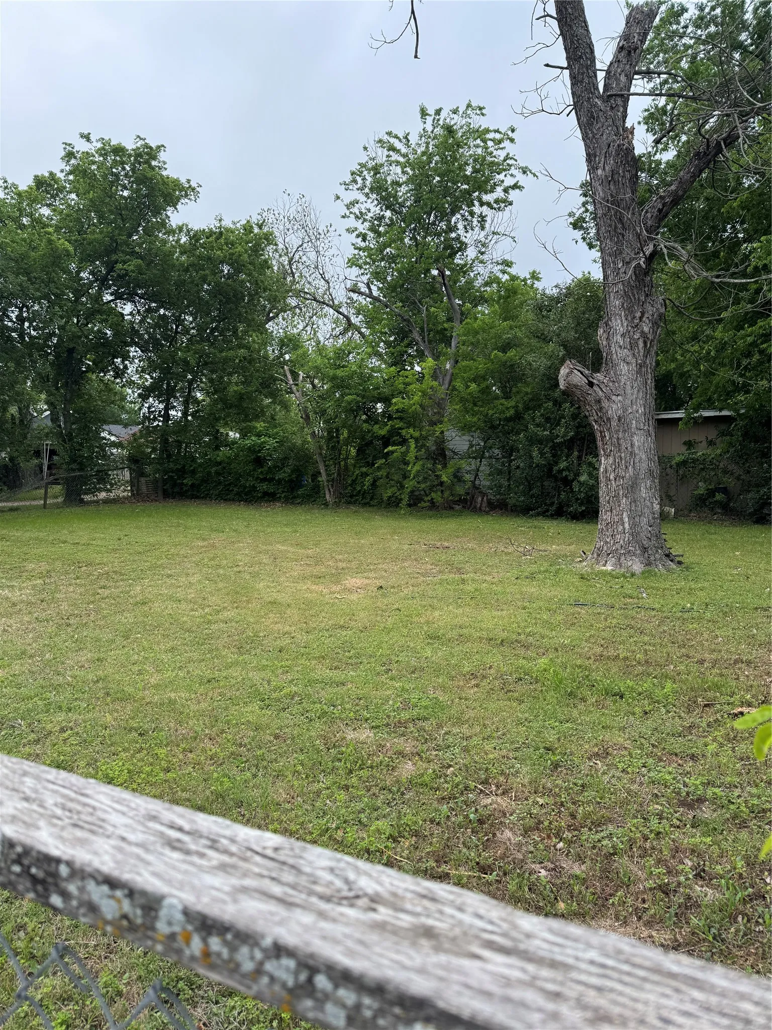 View of grassy yard
