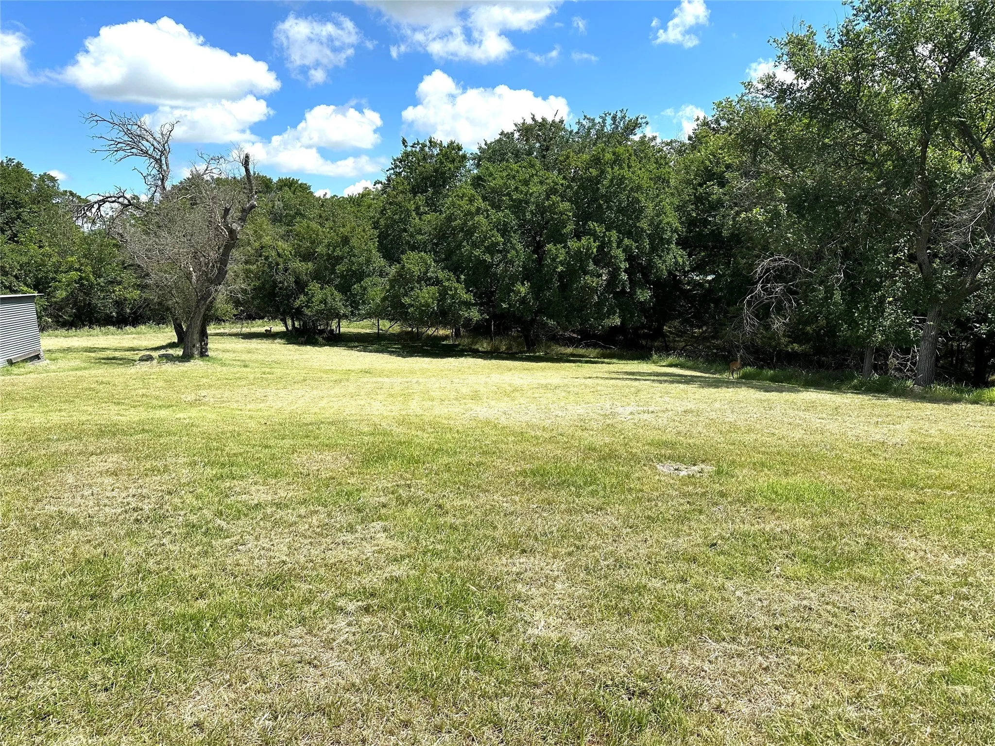 Single Family Residence For Sale in Comanche County , 500 Apache Trail, Comanche, Texas 76442, 3 Bedroom, 3 Bathroom, 2 Garage spaces, 1,896 Sqft, built in 1972, Price $334,900, mls#21239031, Real Estate Agent in Comanche, Homes For Sale in Comanche county, Homes For Sale in Comanche, Realtor in Comanche Texas, Real Estate Brokerage Independent Realty Texas, Luminita Cordes Realtor