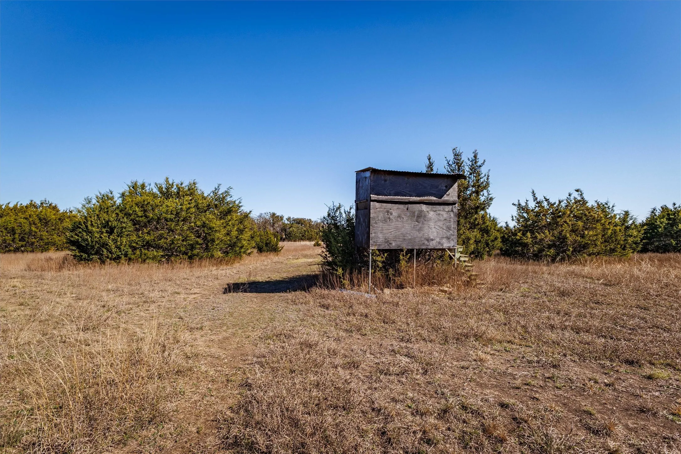 The property features an open field with natural vegetation and scattered trees, offering a rustic landscape