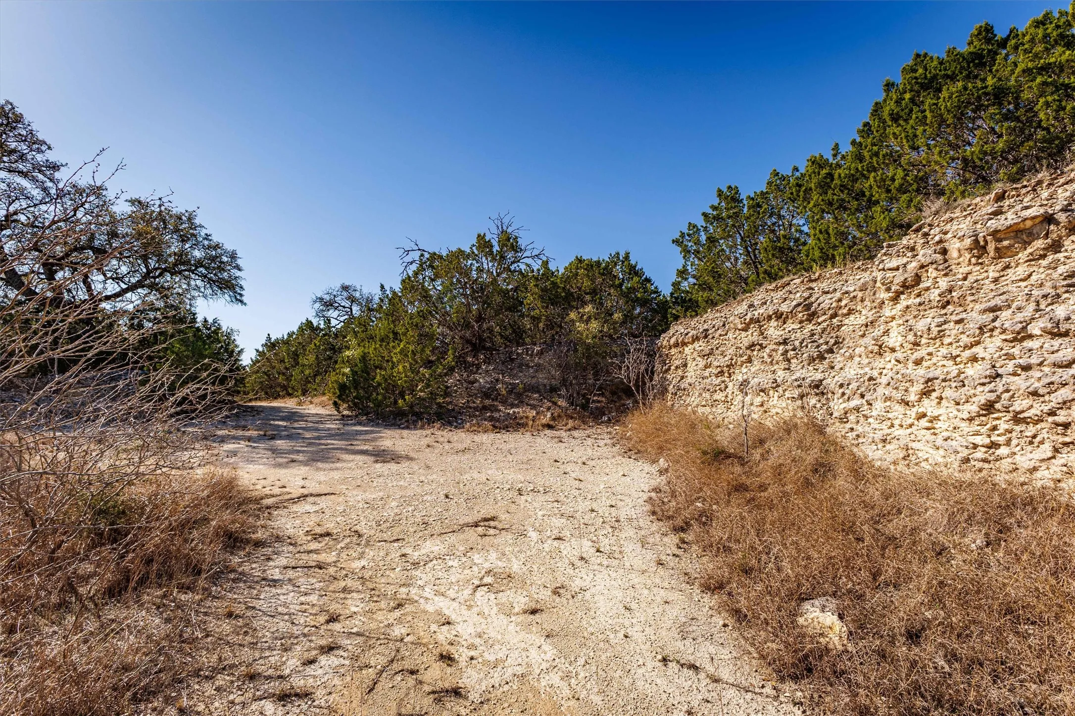 The property features a natural rock wall and extensive natural landscaping with various trees