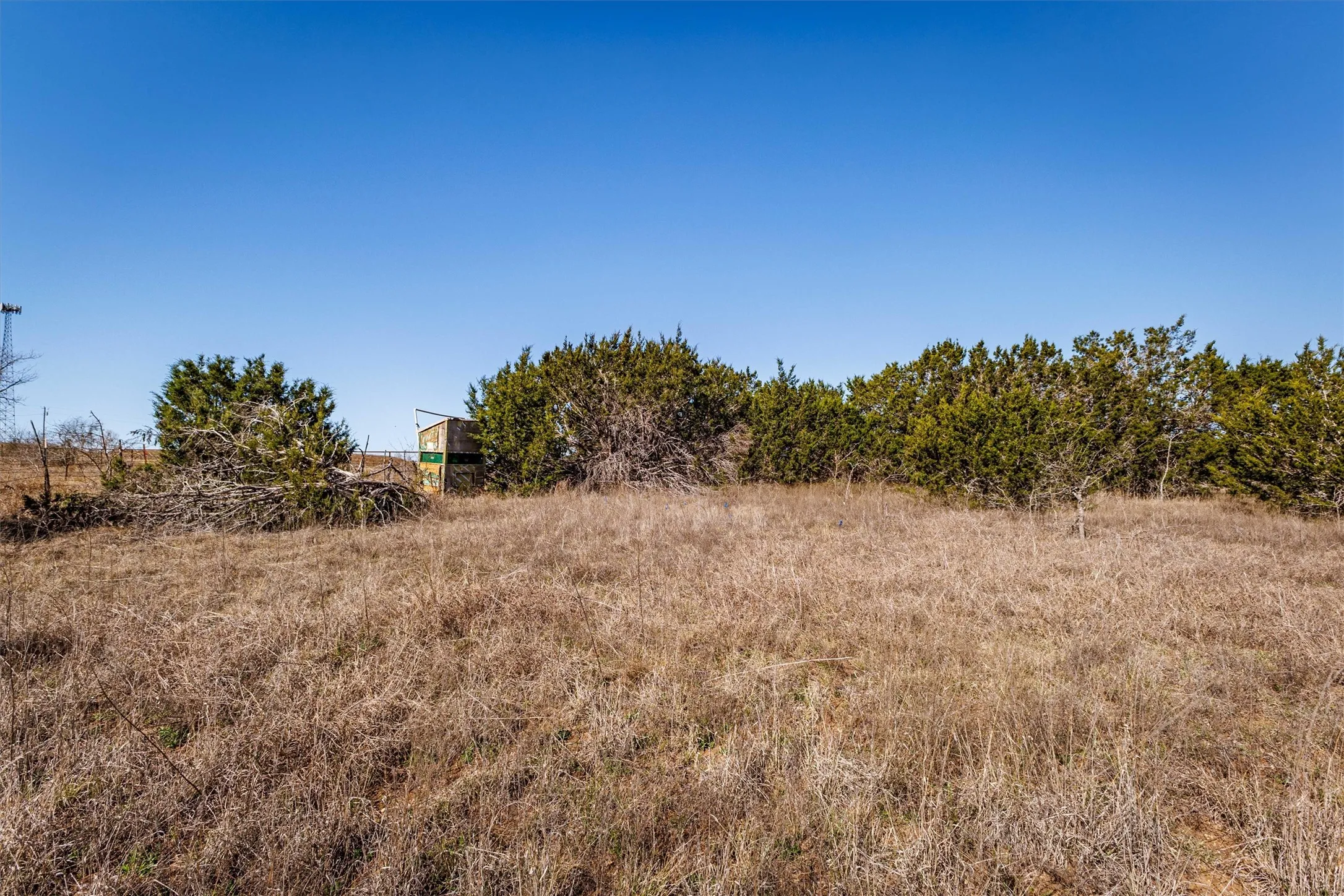 Expansive outdoor space featuring dry grass and a variety of trees