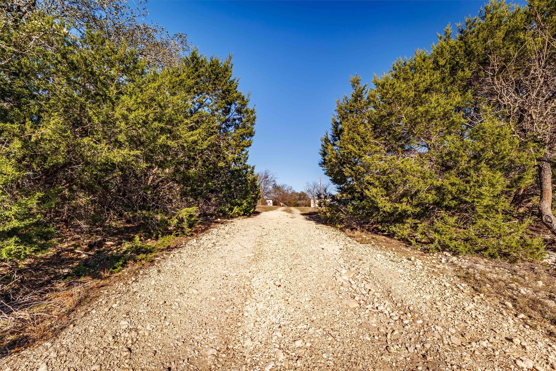 The property features a gravel driveway, lined by mature green trees on either side, leading towards a visible structure in the distance