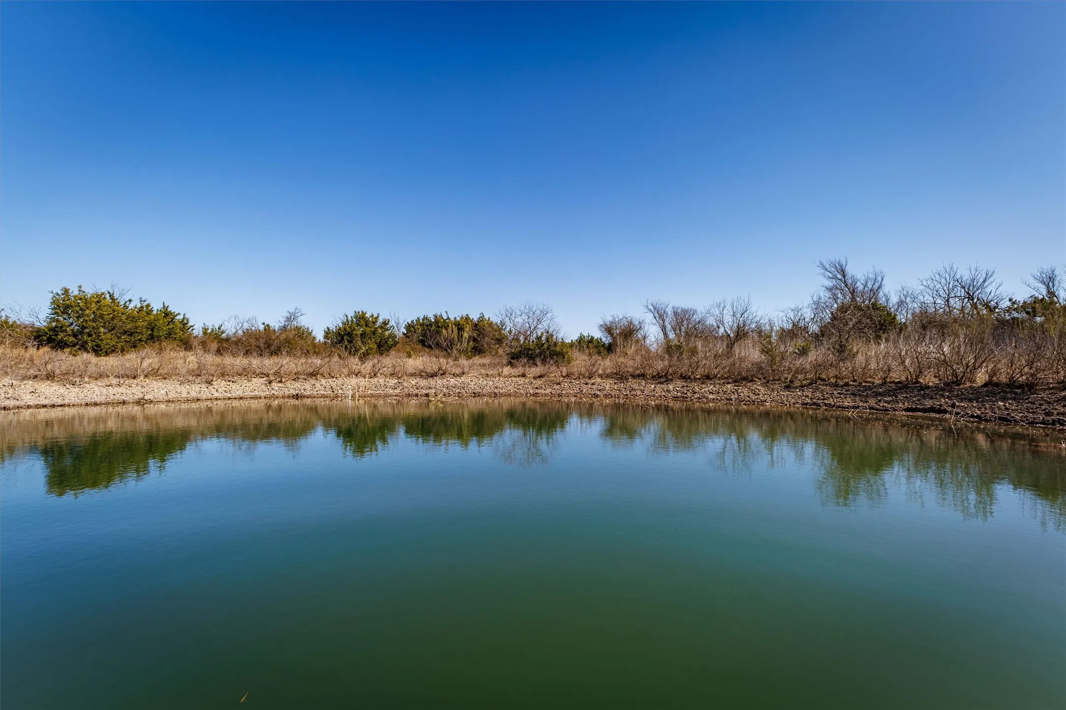 The property features a tranquil body of water, bordered by natural vegetation under a clear sky