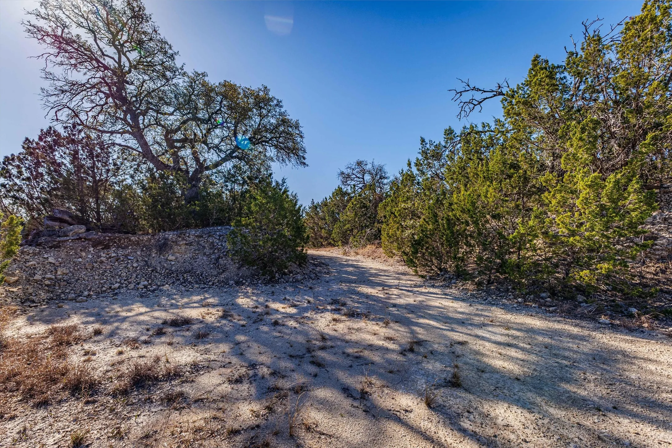 The property features a natural, unpaved path surrounded by various trees and shrubs, set against a clear blue sky