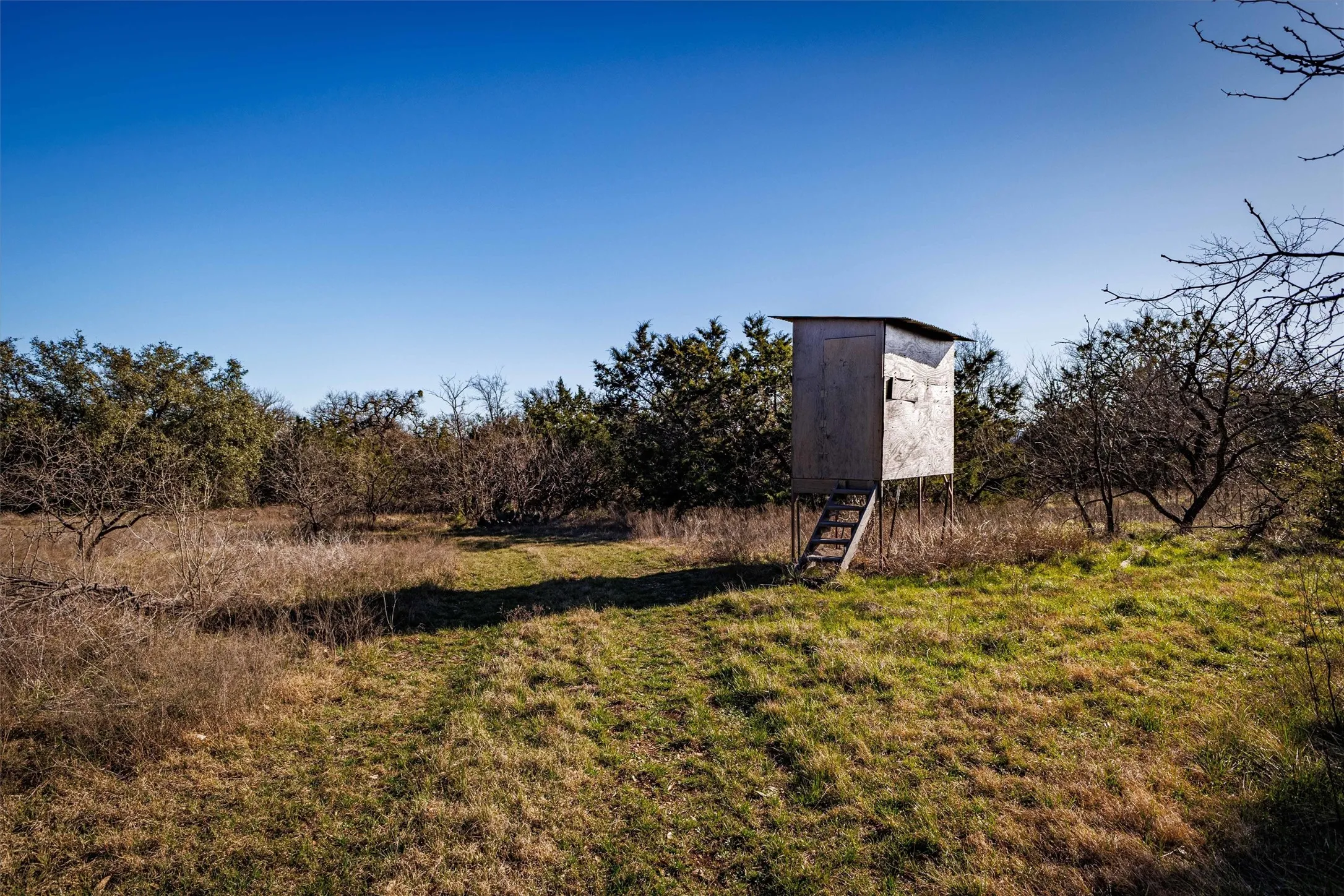 The property features an open field with natural vegetation and a wooded perimeter