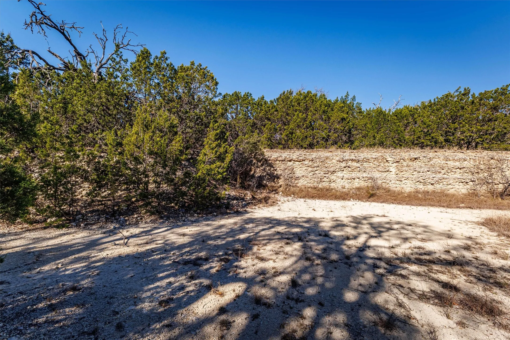 The property features a natural rock face and an abundance of evergreen trees