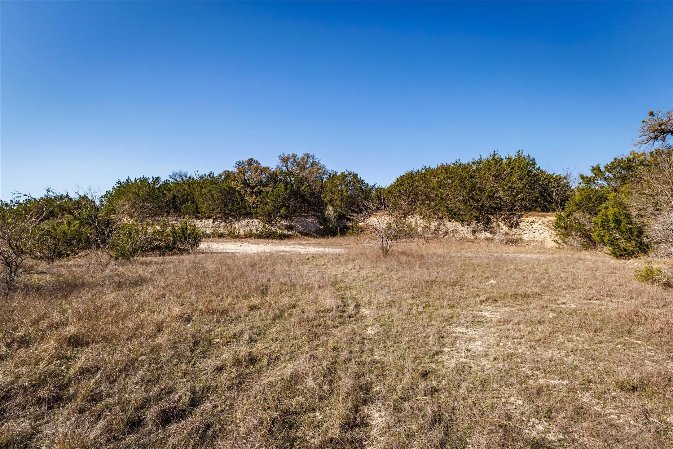The property features a natural landscape with extensive dry grass, various shrubs, and mature trees