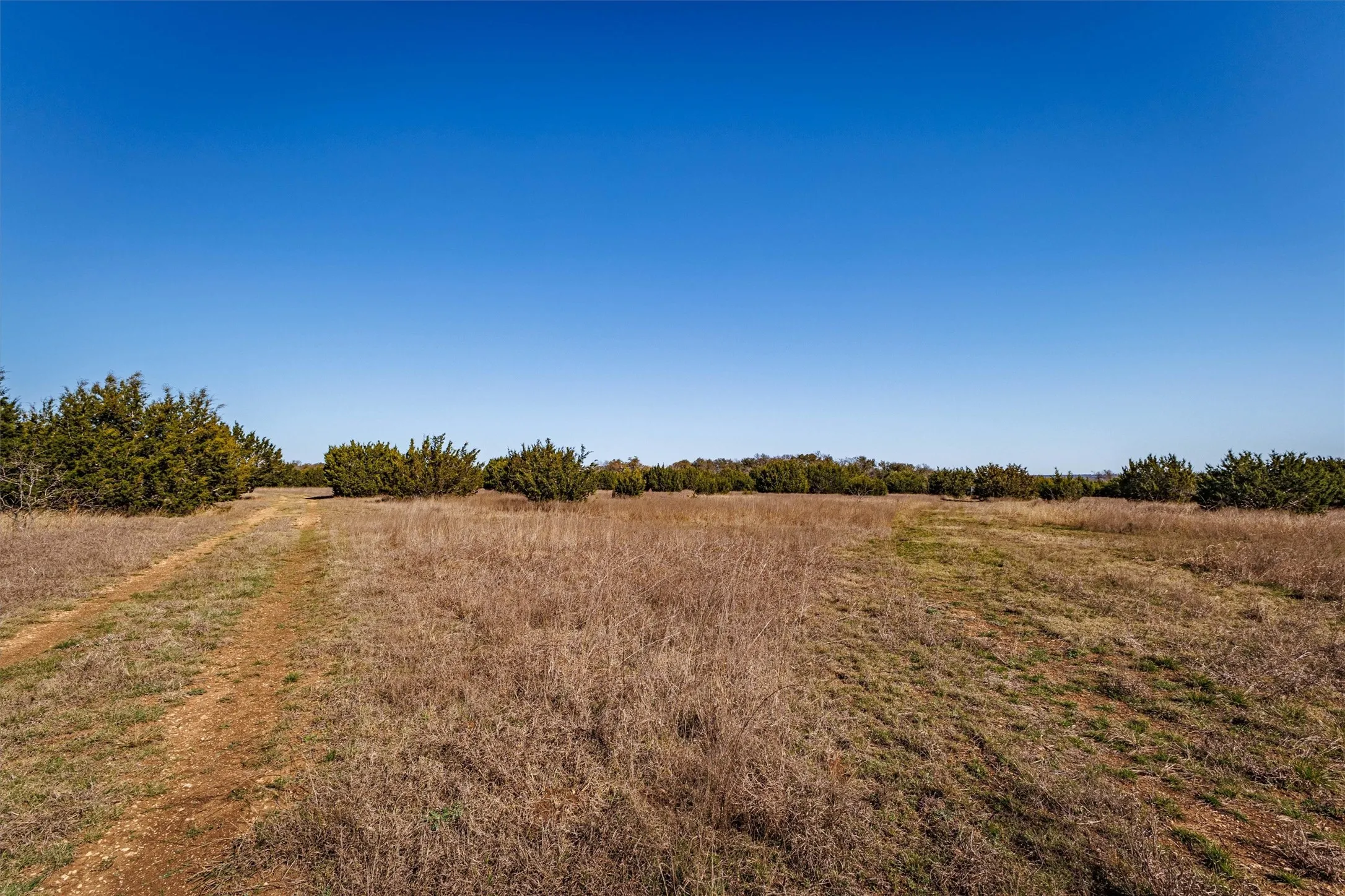 Expansive property featuring clear skies, open fields, and scattered mature trees