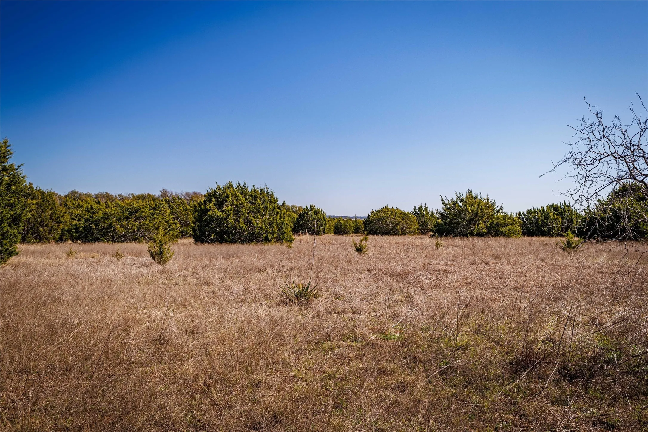 This property features an expansive open field with natural grasses and scattered small trees, bordered by a line of mature trees