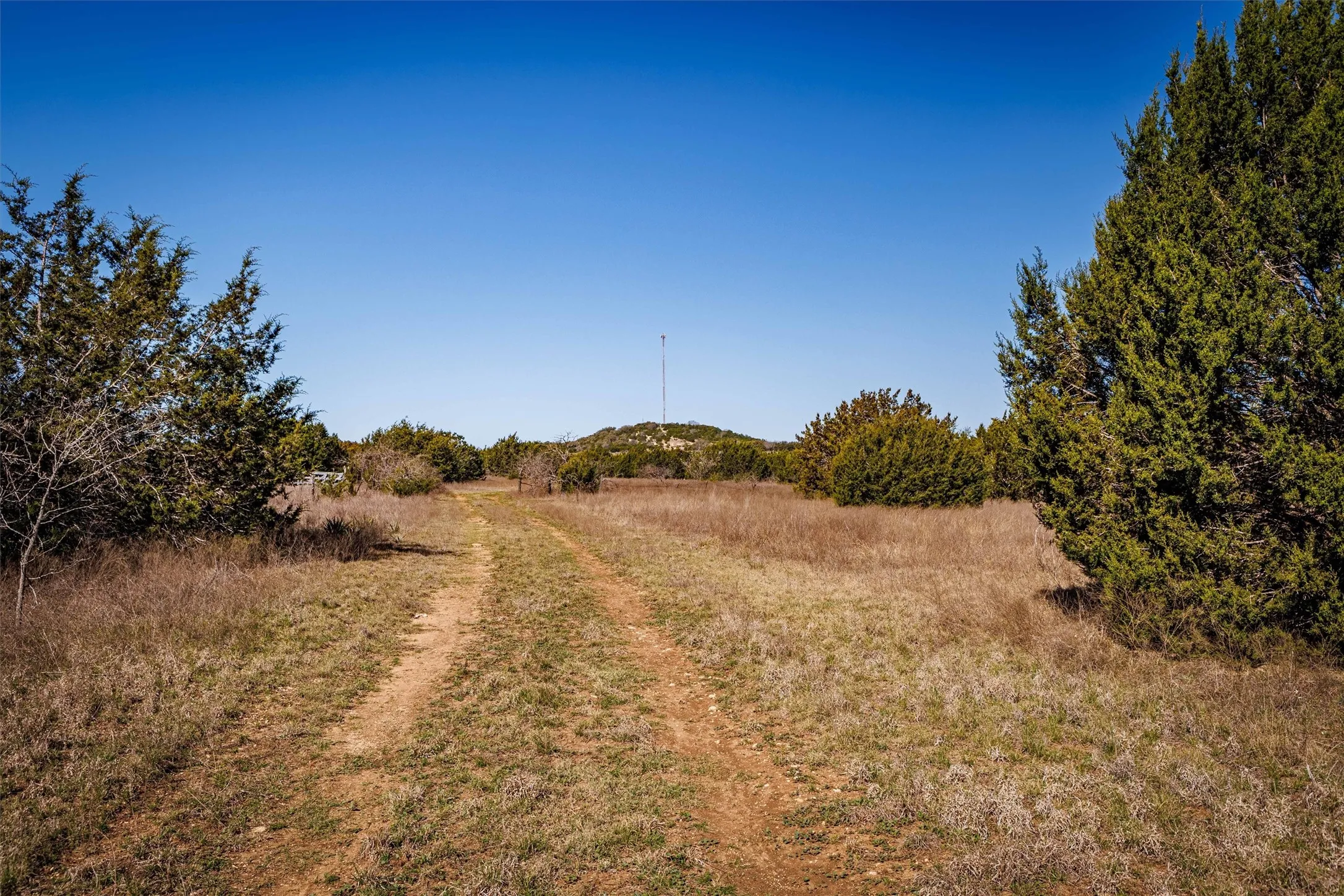 The property features a natural landscape with a clear path, surrounded by trees and vegetation, under a vast clear sky