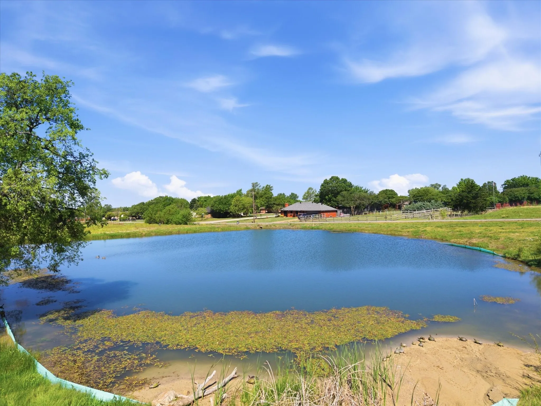 Unimproved Land For Sale in Rockwall County , 487 Cornelius, Rockwall, Texas 75087, 0, 0, Garage spaces, 0 Sqft, built in 0, mls#21239102, Real Estate Agent in Rockwall, Homes For Sale in Rockwall county, Homes For Sale in Rockwall, Realtor in Rockwall Texas, Real Estate Brokerage Independent Realty Texas, Luminita Cordes Realtor