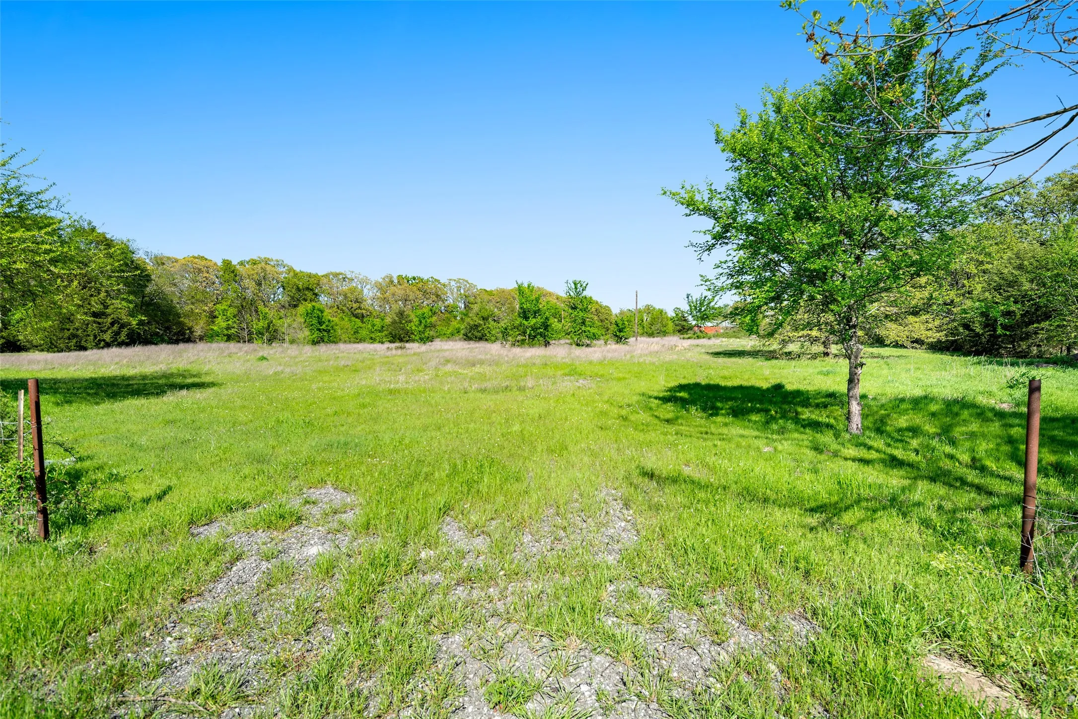 Unimproved Land For Sale in Fannin County , 320 Fm 897, Telephone, Texas 75488, 0, 0, Garage spaces, 0 Sqft, built in 0, mls#21238821, Real Estate Agent in Telephone, Homes For Sale in Fannin county, Homes For Sale in Telephone, Realtor in Telephone Texas, Real Estate Brokerage Independent Realty Texas, Luminita Cordes Realtor