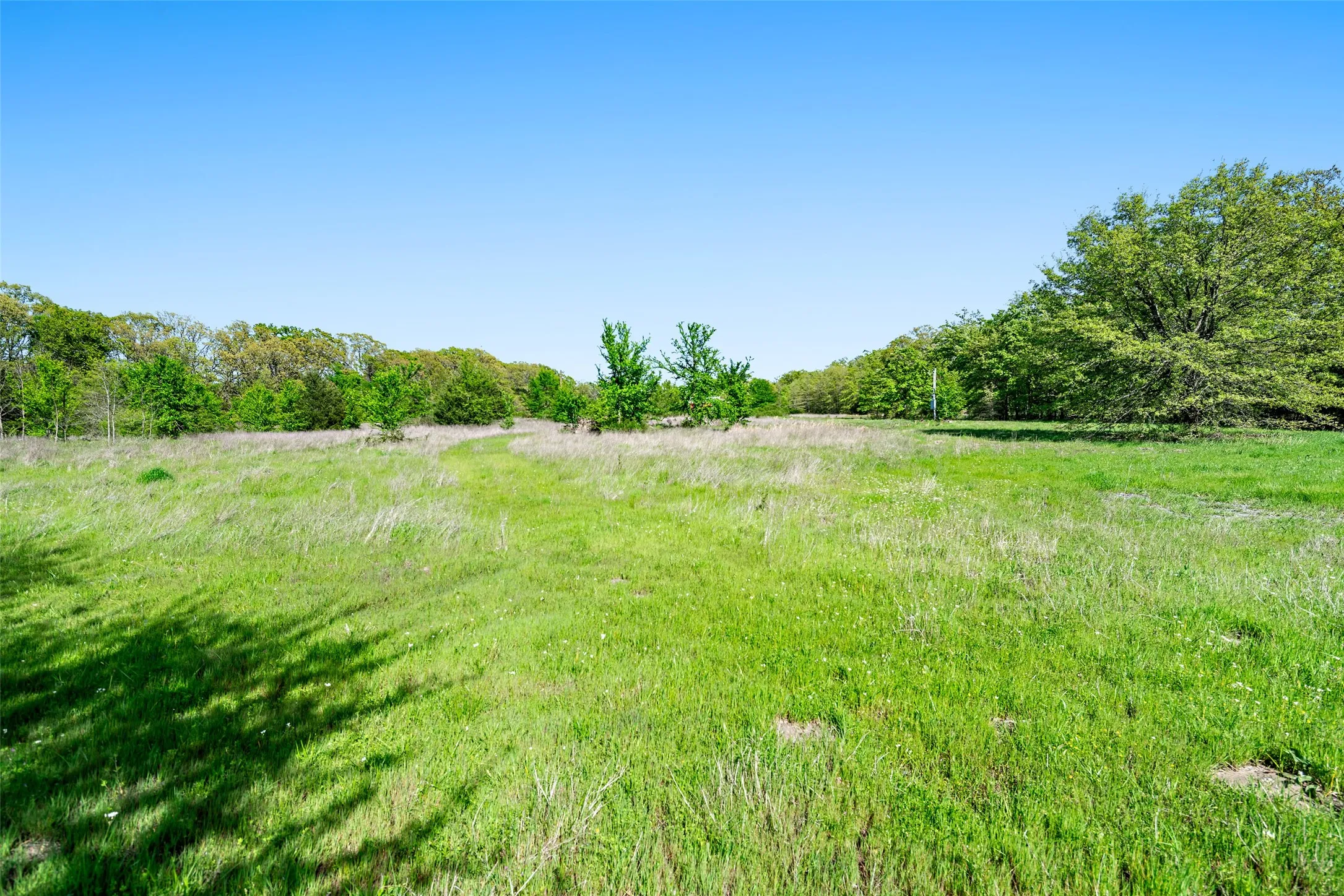 Unimproved Land For Sale in Fannin County , 320 Fm 897, Telephone, Texas 75488, 0, 0, Garage spaces, 0 Sqft, built in 0, mls#21238821, Real Estate Agent in Telephone, Homes For Sale in Fannin county, Homes For Sale in Telephone, Realtor in Telephone Texas, Real Estate Brokerage Independent Realty Texas, Luminita Cordes Realtor