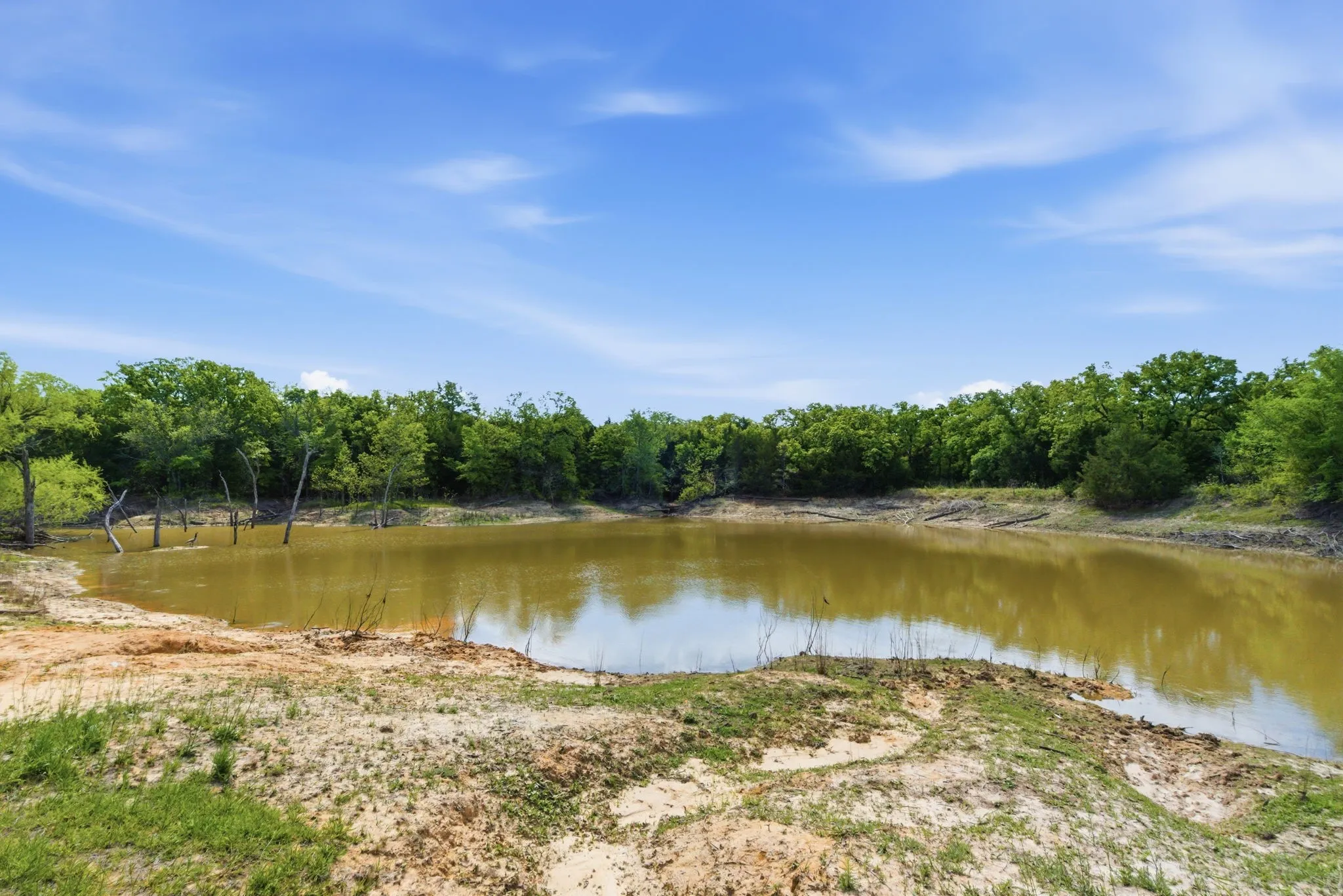 Farm For Sale in Montague County , 2197 Netherly Lane, Forestburg, Texas 76239, 2 Bedroom, 3 Bathroom, Garage spaces, 4,224 Sqft, built in 2014, mls#21239265, Real Estate Agent in Forestburg, Homes For Sale in Montague county, Homes For Sale in Forestburg, Realtor in Forestburg Texas, Real Estate Brokerage Independent Realty Texas, Luminita Cordes Realtor