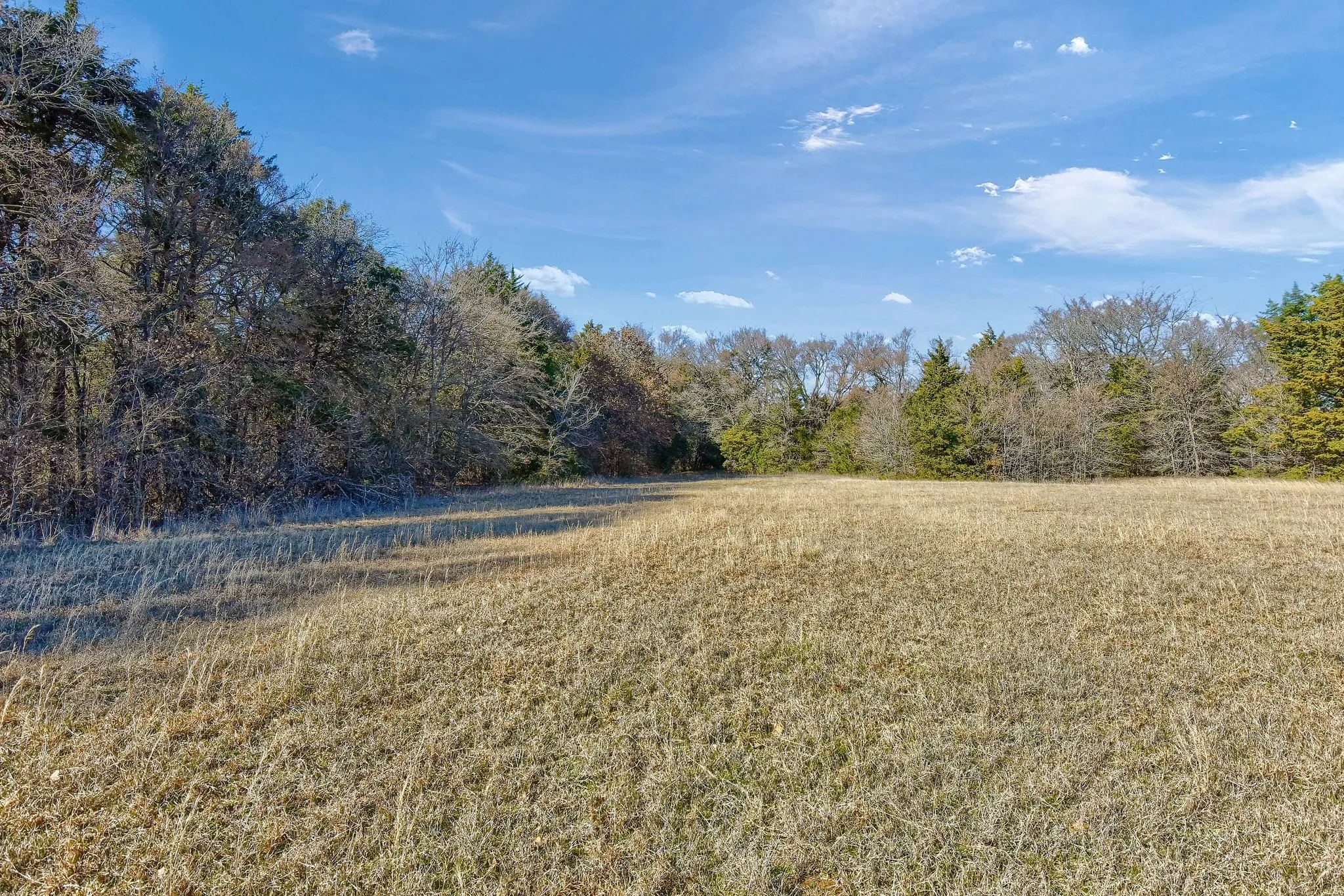 Unimproved Land For Sale in Grayson County , 163 Twin Oaks Lane, Whitesboro, Texas 76273, 0, 0, Garage spaces, 0 Sqft, built in 0, mls#21239219, Real Estate Agent in Whitesboro, Homes For Sale in Grayson county, Homes For Sale in Whitesboro, Realtor in Whitesboro Texas, Real Estate Brokerage Independent Realty Texas, Luminita Cordes Realtor