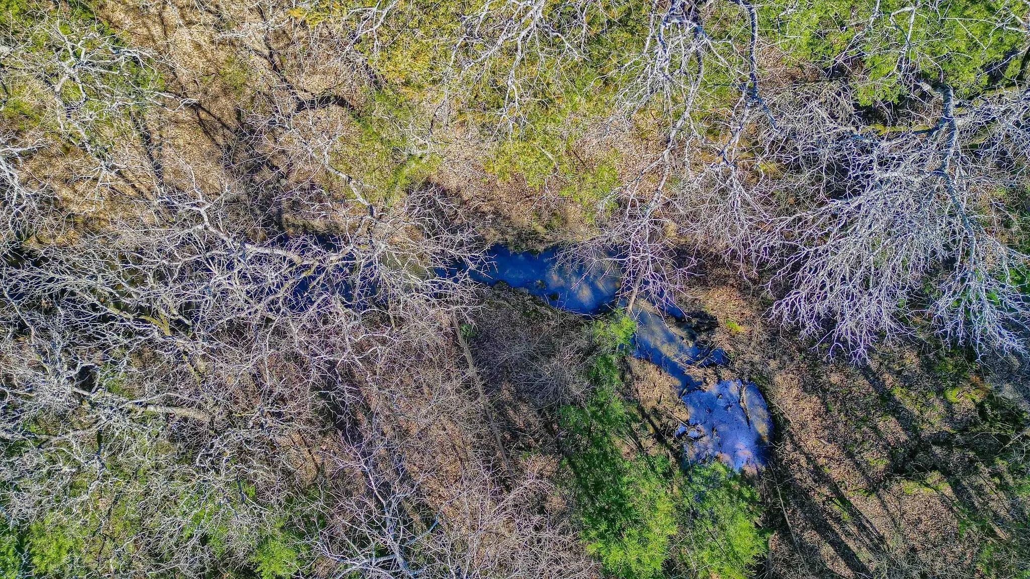 Unimproved Land For Sale in Grayson County , 163 Twin Oaks Lane, Whitesboro, Texas 76273, 0, 0, Garage spaces, 0 Sqft, built in 0, mls#21239219, Real Estate Agent in Whitesboro, Homes For Sale in Grayson county, Homes For Sale in Whitesboro, Realtor in Whitesboro Texas, Real Estate Brokerage Independent Realty Texas, Luminita Cordes Realtor