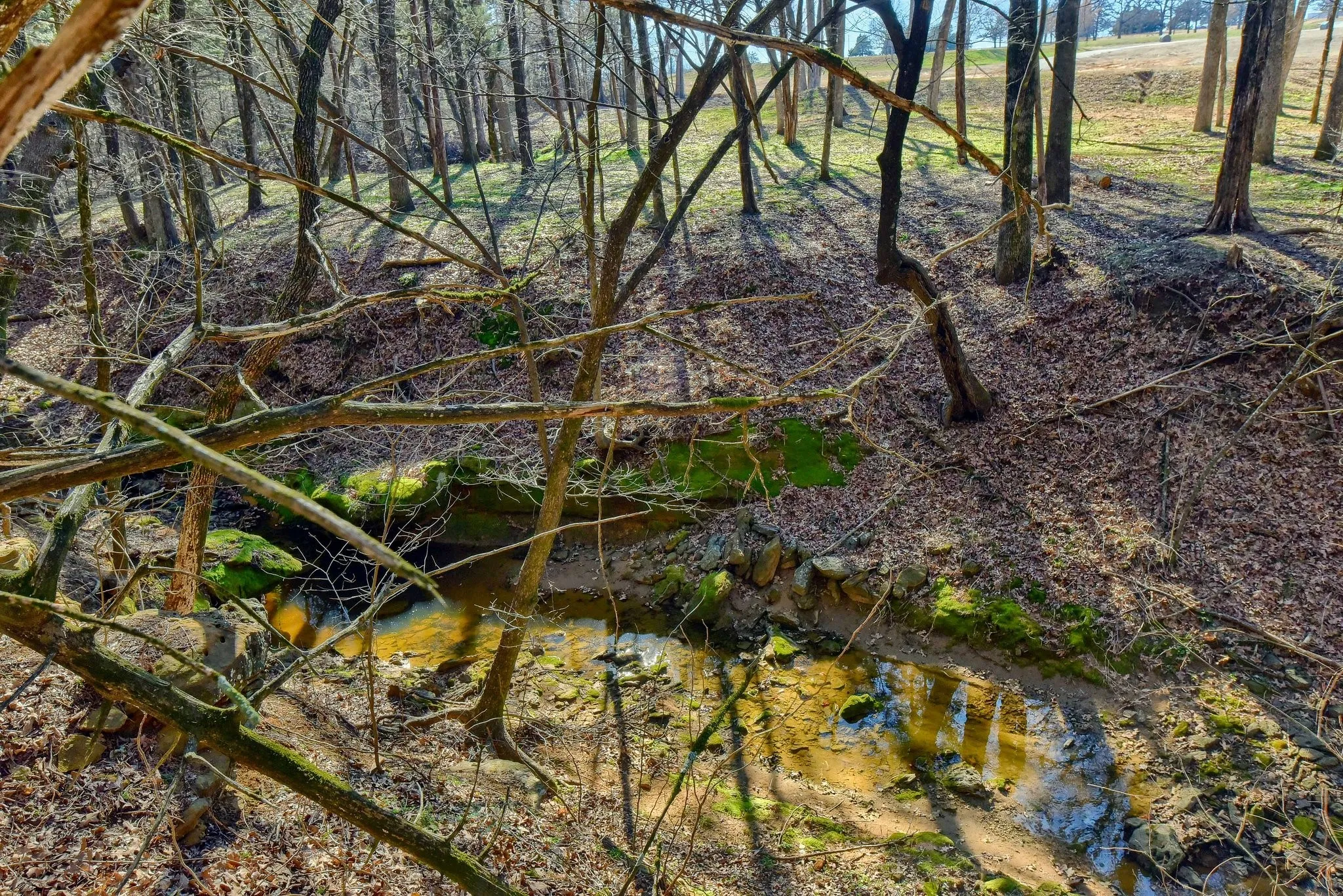 Unimproved Land For Sale in Grayson County , 163 Twin Oaks Lane, Whitesboro, Texas 76273, 0, 0, Garage spaces, 0 Sqft, built in 0, mls#21239219, Real Estate Agent in Whitesboro, Homes For Sale in Grayson county, Homes For Sale in Whitesboro, Realtor in Whitesboro Texas, Real Estate Brokerage Independent Realty Texas, Luminita Cordes Realtor