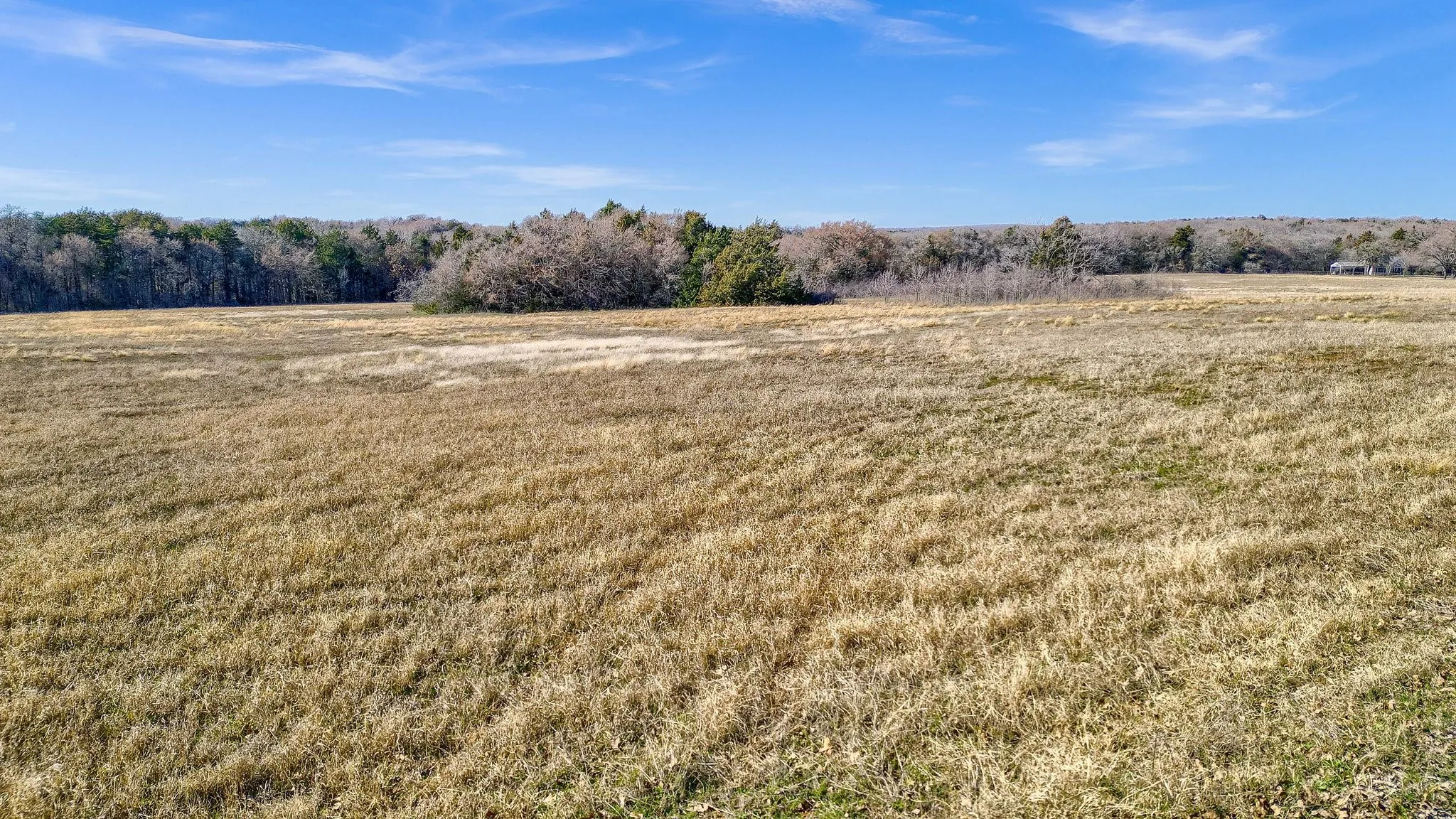 Unimproved Land For Sale in Grayson County , 163 Twin Oaks Lane, Whitesboro, Texas 76273, 0, 0, Garage spaces, 0 Sqft, built in 0, mls#21239219, Real Estate Agent in Whitesboro, Homes For Sale in Grayson county, Homes For Sale in Whitesboro, Realtor in Whitesboro Texas, Real Estate Brokerage Independent Realty Texas, Luminita Cordes Realtor