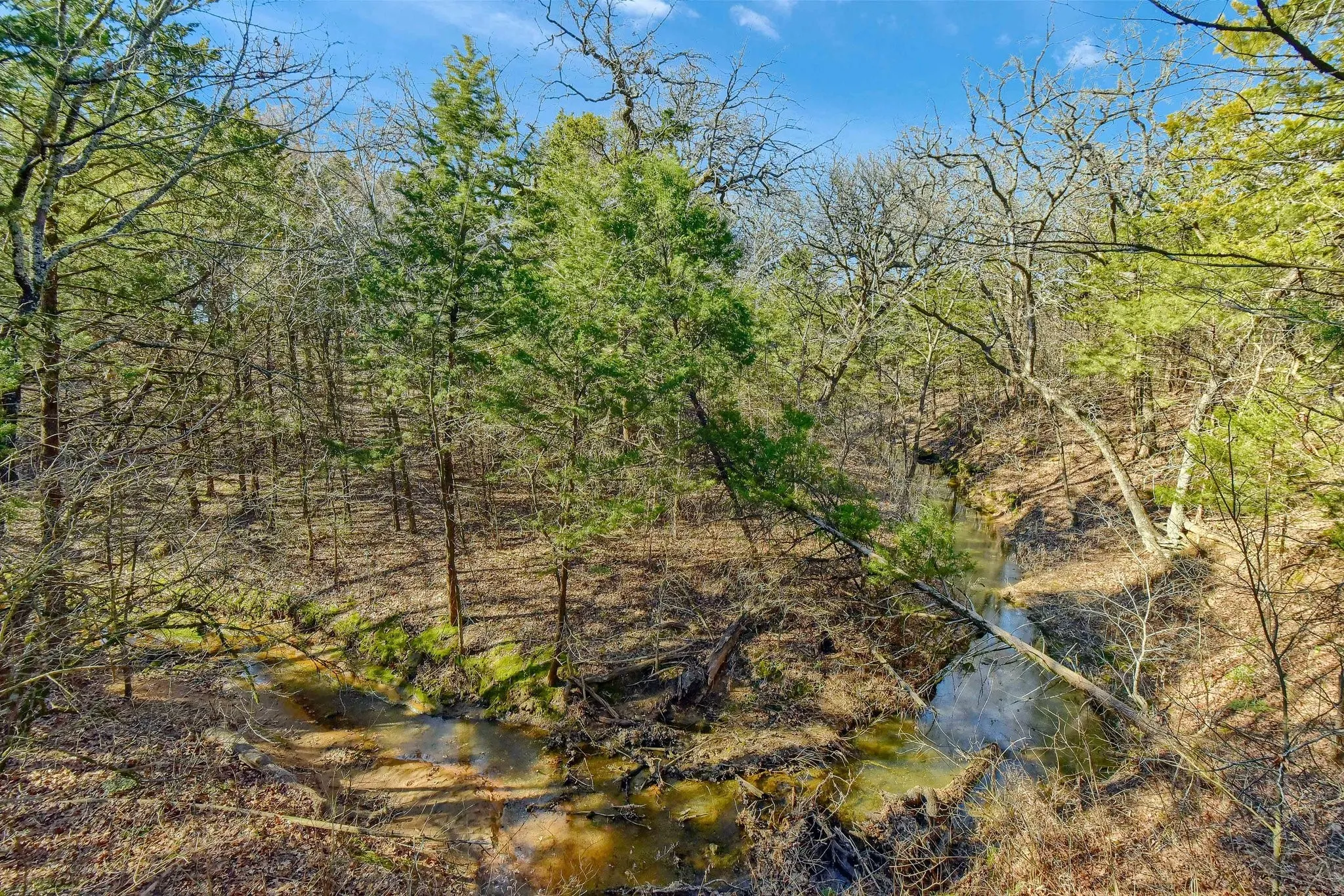 Unimproved Land For Sale in Grayson County , 163 Twin Oaks Lane, Whitesboro, Texas 76273, 0, 0, Garage spaces, 0 Sqft, built in 0, mls#21239219, Real Estate Agent in Whitesboro, Homes For Sale in Grayson county, Homes For Sale in Whitesboro, Realtor in Whitesboro Texas, Real Estate Brokerage Independent Realty Texas, Luminita Cordes Realtor