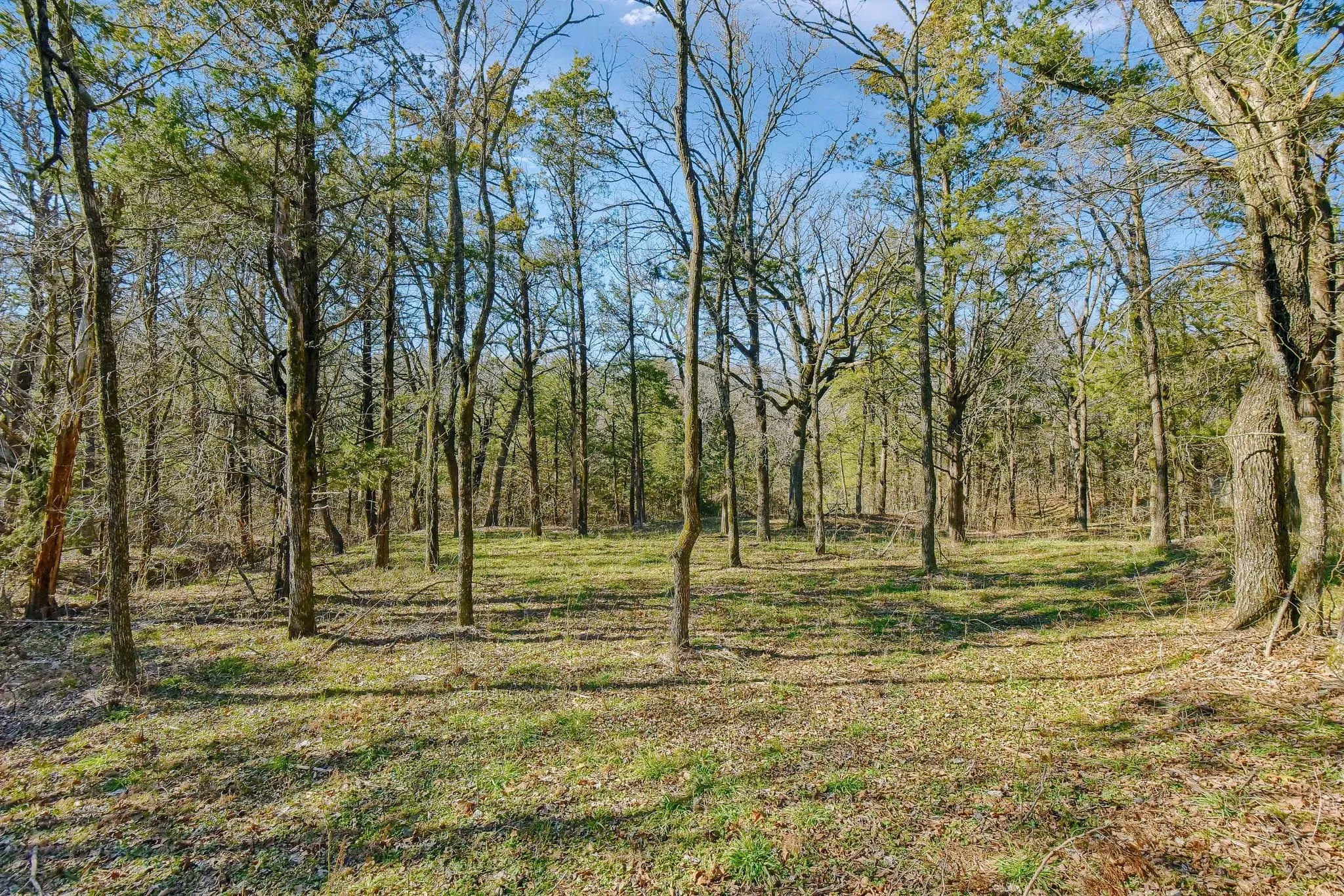 Unimproved Land For Sale in Grayson County , 163 Twin Oaks Lane, Whitesboro, Texas 76273, 0, 0, Garage spaces, 0 Sqft, built in 0, mls#21239219, Real Estate Agent in Whitesboro, Homes For Sale in Grayson county, Homes For Sale in Whitesboro, Realtor in Whitesboro Texas, Real Estate Brokerage Independent Realty Texas, Luminita Cordes Realtor