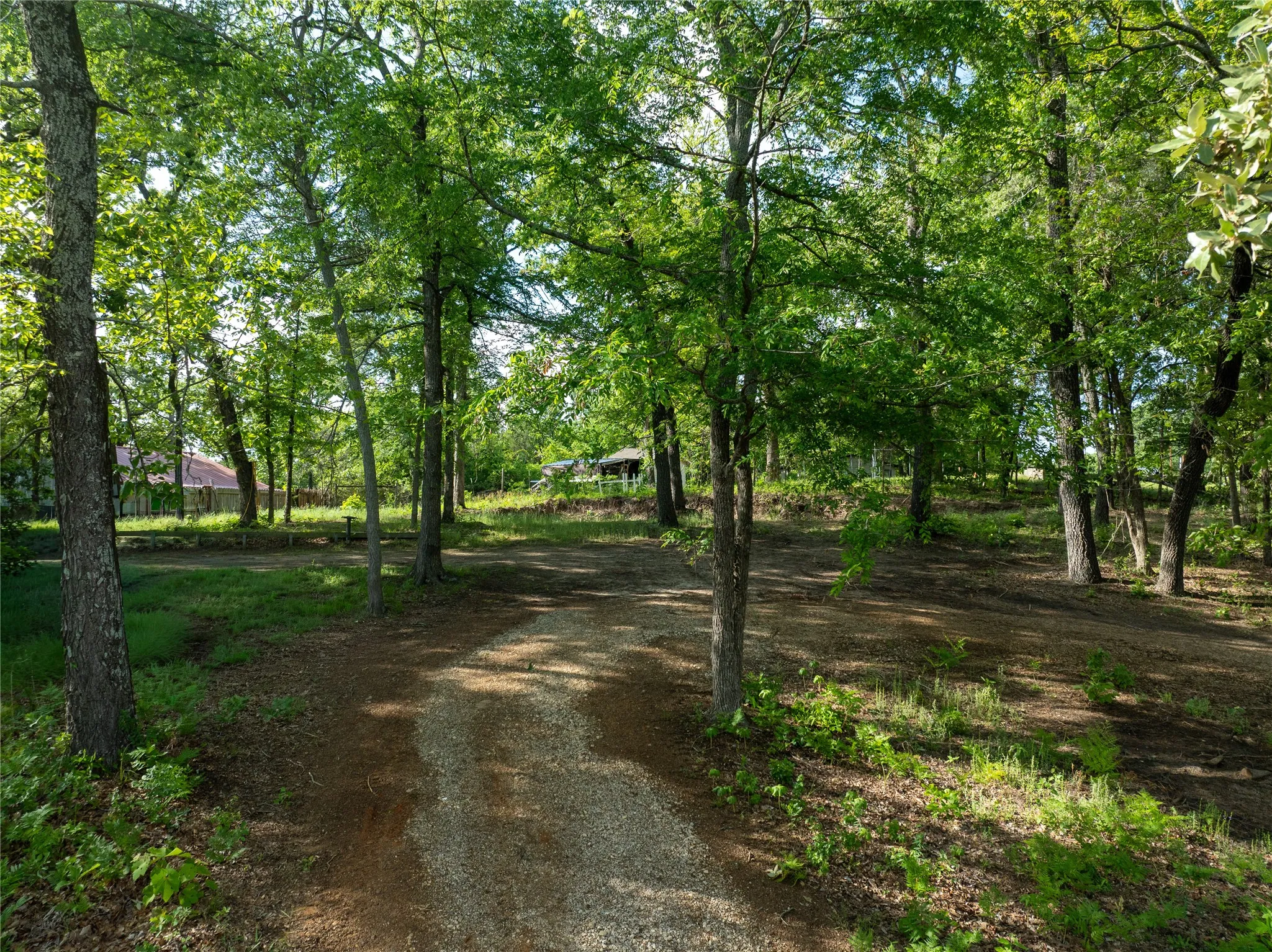 driveway up to the lot
