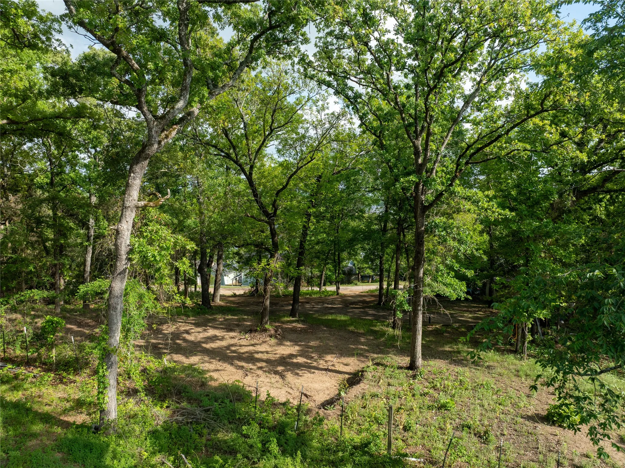 closer look at the lots