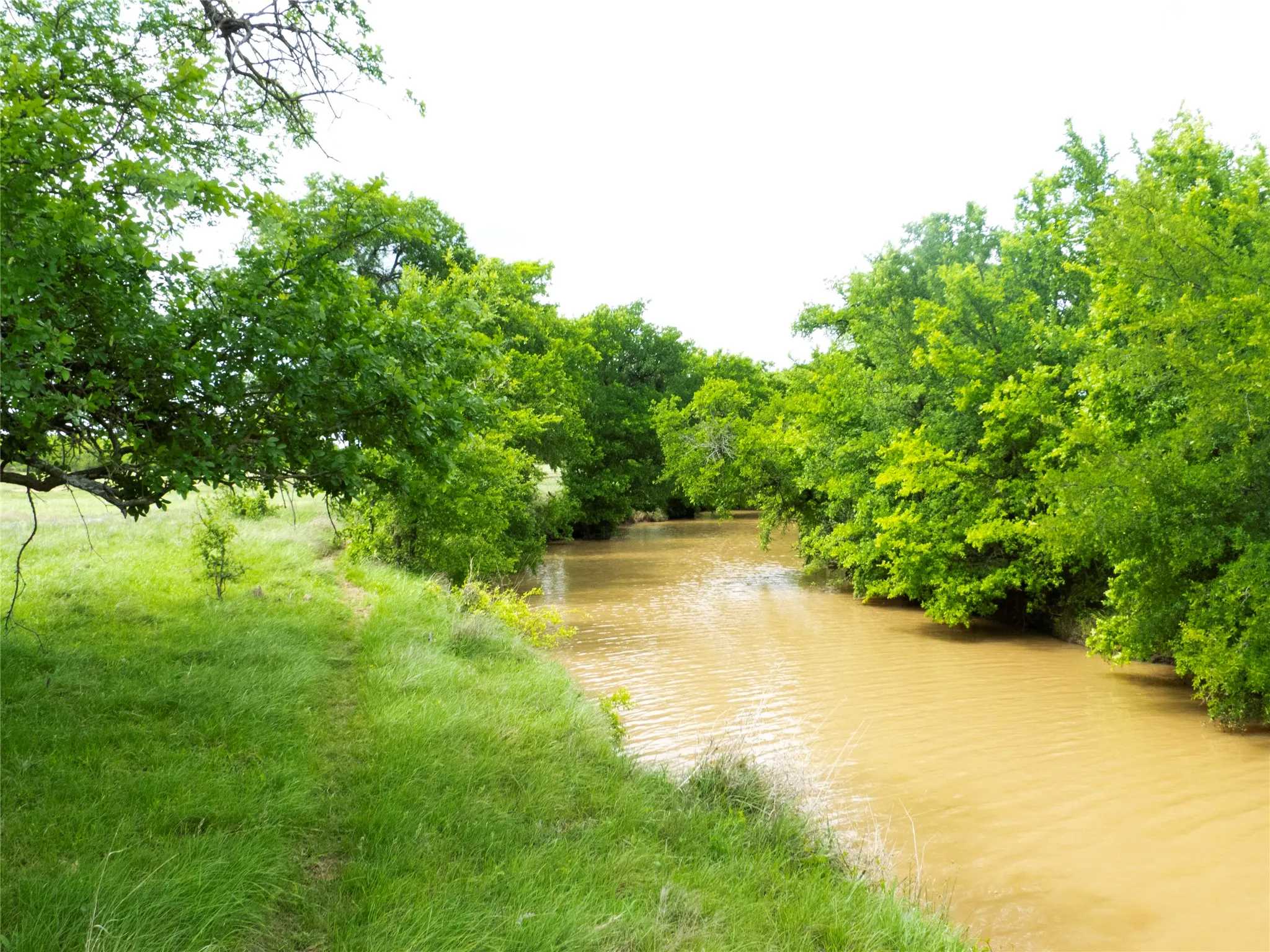 Farm For Sale in Brown County , 6500A Fm 586, Bangs, Texas 76823, 3 Bedroom, 2 Bathroom, 2 Garage spaces, 1,804 Sqft, built in 0, Price $1,500,000, mls#21239029, Real Estate Agent in Bangs, Homes For Sale in Brown county, Homes For Sale in Bangs, Realtor in Bangs Texas, Real Estate Brokerage Independent Realty Texas, Luminita Cordes Realtor