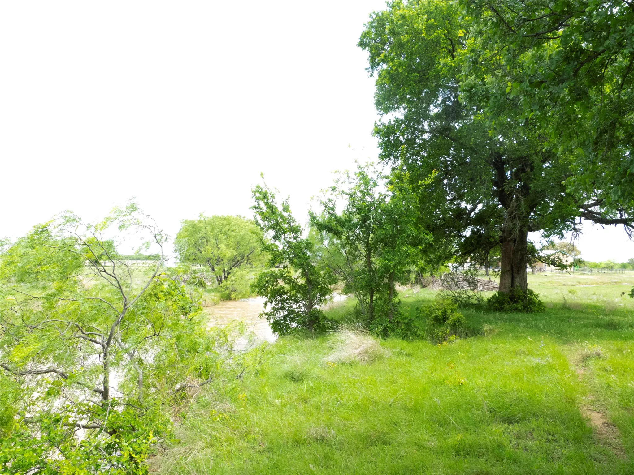 Farm For Sale in Brown County , 6500A Fm 586, Bangs, Texas 76823, 3 Bedroom, 2 Bathroom, 2 Garage spaces, 1,804 Sqft, built in 0, Price $1,500,000, mls#21239029, Real Estate Agent in Bangs, Homes For Sale in Brown county, Homes For Sale in Bangs, Realtor in Bangs Texas, Real Estate Brokerage Independent Realty Texas, Luminita Cordes Realtor