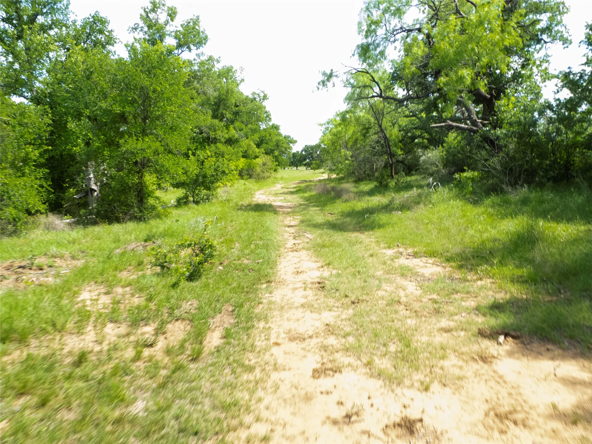 Farm For Sale in Brown County , 6500A Fm 586, Bangs, Texas 76823, 3 Bedroom, 2 Bathroom, 2 Garage spaces, 1,804 Sqft, built in 0, Price $1,500,000, mls#21239029, Real Estate Agent in Bangs, Homes For Sale in Brown county, Homes For Sale in Bangs, Realtor in Bangs Texas, Real Estate Brokerage Independent Realty Texas, Luminita Cordes Realtor
