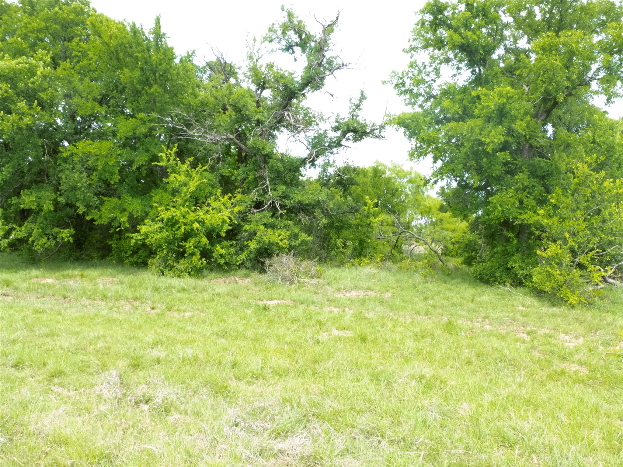 Farm For Sale in Brown County , 6500A Fm 586, Bangs, Texas 76823, 3 Bedroom, 2 Bathroom, 2 Garage spaces, 1,804 Sqft, built in 0, Price $1,500,000, mls#21239029, Real Estate Agent in Bangs, Homes For Sale in Brown county, Homes For Sale in Bangs, Realtor in Bangs Texas, Real Estate Brokerage Independent Realty Texas, Luminita Cordes Realtor