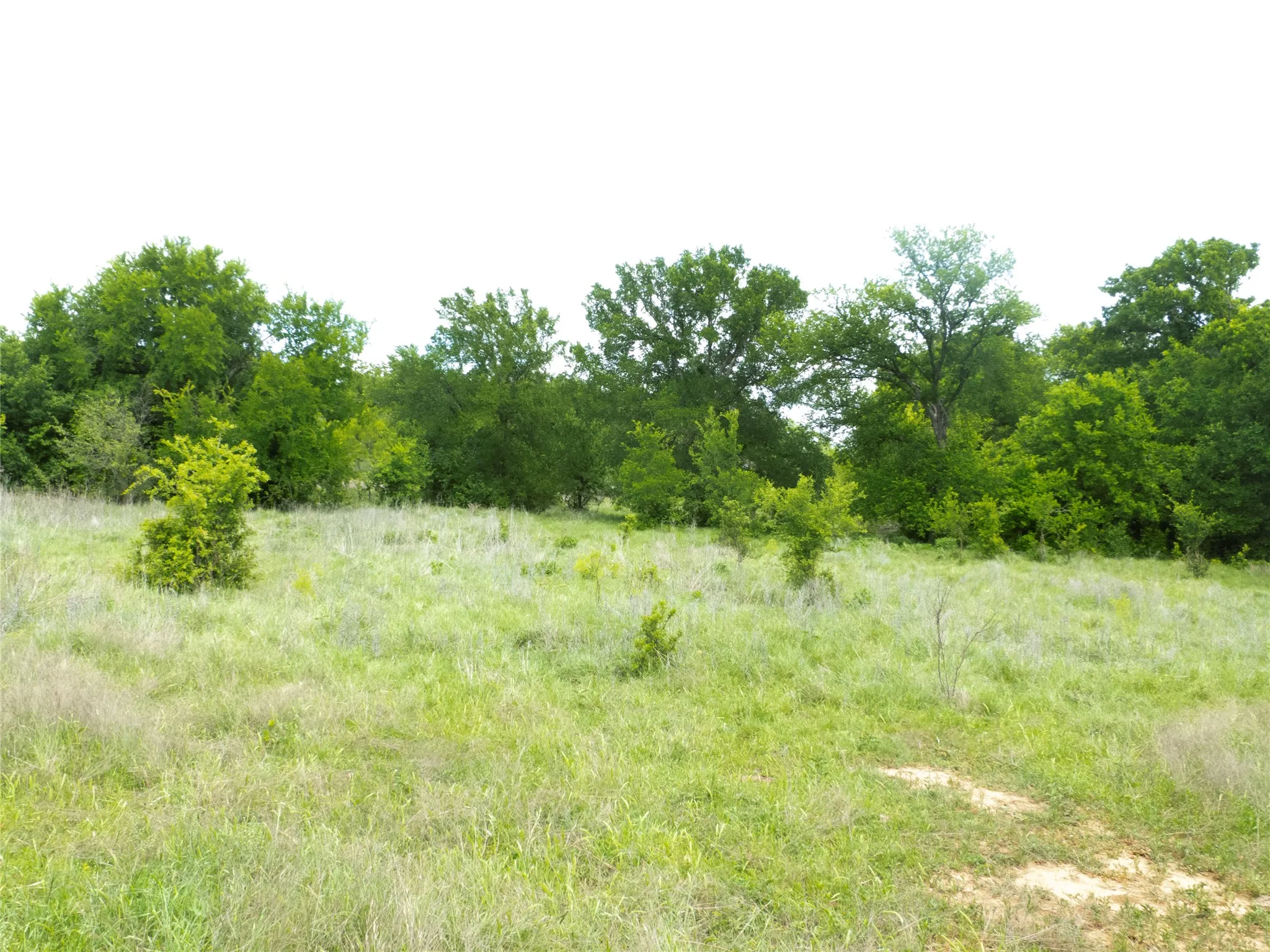 Farm For Sale in Brown County , 6500A Fm 586, Bangs, Texas 76823, 3 Bedroom, 2 Bathroom, 2 Garage spaces, 1,804 Sqft, built in 0, Price $1,500,000, mls#21239029, Real Estate Agent in Bangs, Homes For Sale in Brown county, Homes For Sale in Bangs, Realtor in Bangs Texas, Real Estate Brokerage Independent Realty Texas, Luminita Cordes Realtor