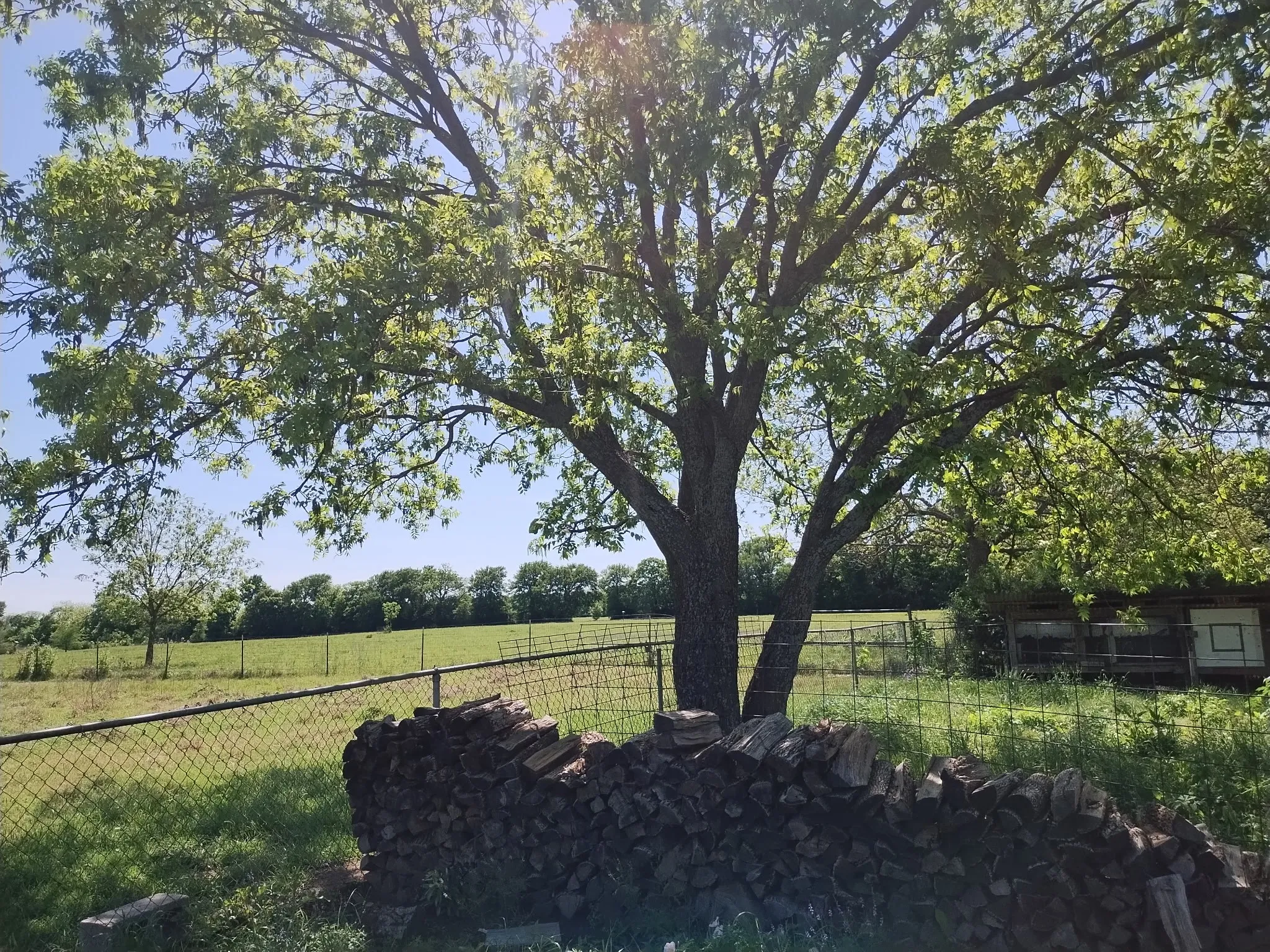 Single Family Residence For Sale in Grayson County , 4440 Dripping Springs Road, Sherman, Texas 75090, 3 Bedroom, 2 Bathroom, Garage spaces, 1,286 Sqft, built in 2001, Preowned, Price $380,000, mls#21228256, Real Estate Agent in Sherman, Homes For Sale in Grayson county, Homes For Sale in Sherman, Realtor in Sherman Texas, Real Estate Brokerage Independent Realty Texas, Luminita Cordes Realtor