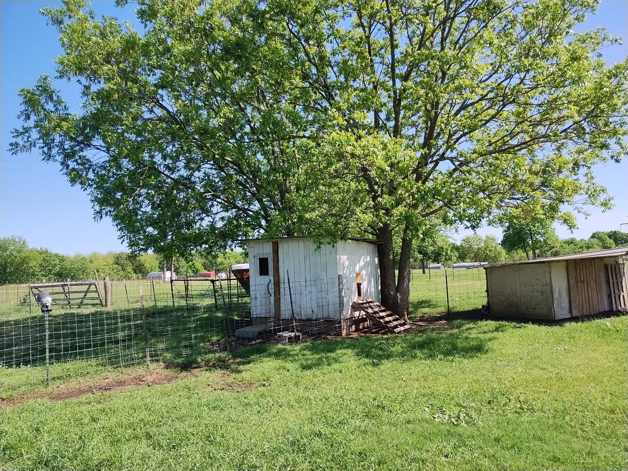 chicken coop